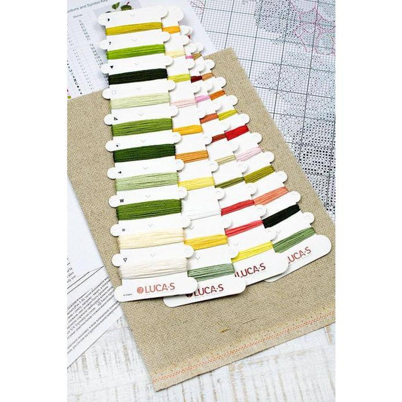 Luca-s The Dutch Codlin Counted Cross Stitch Kit