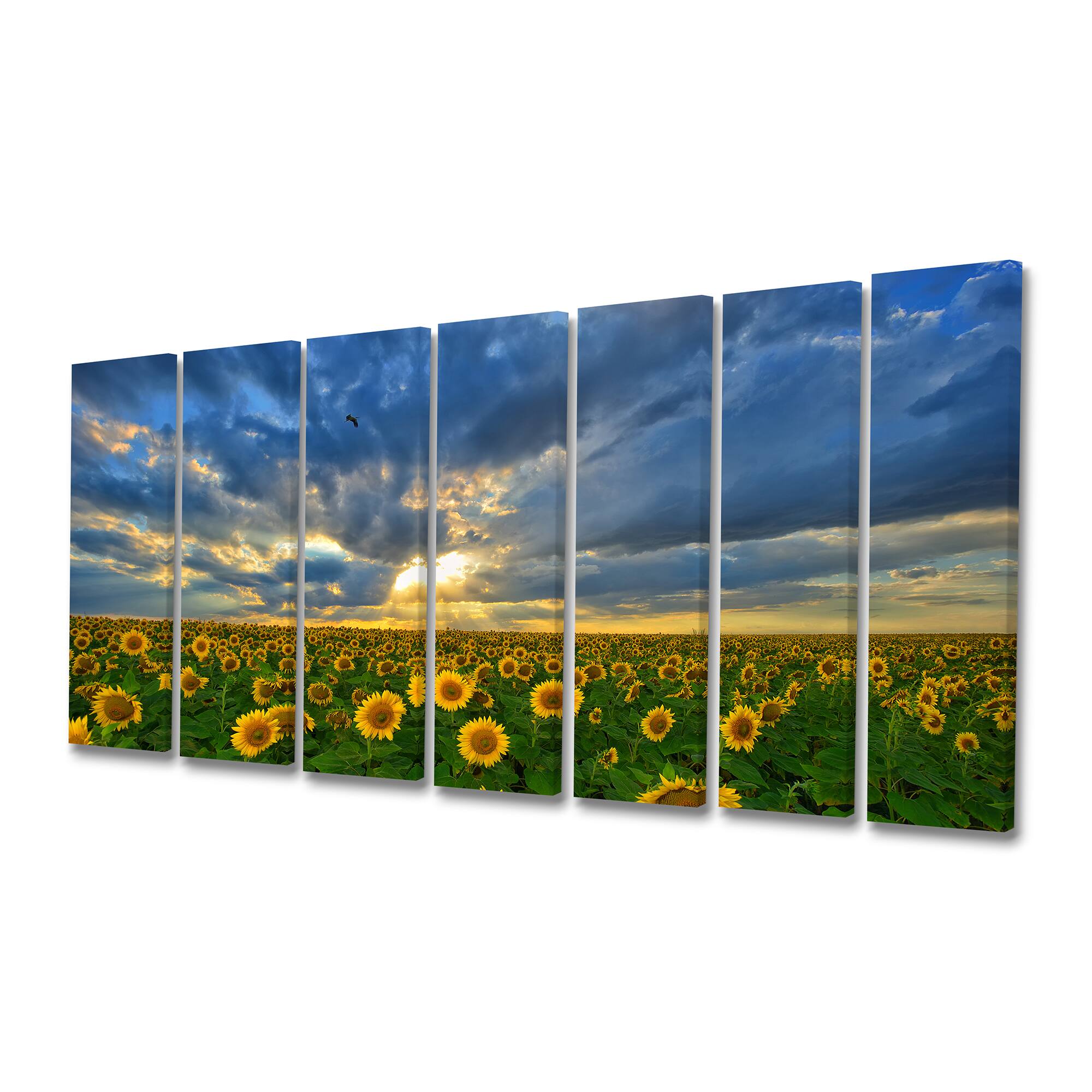 Designart - Beauty Sunset over Sunflowers - Landscape Canvas Art Print