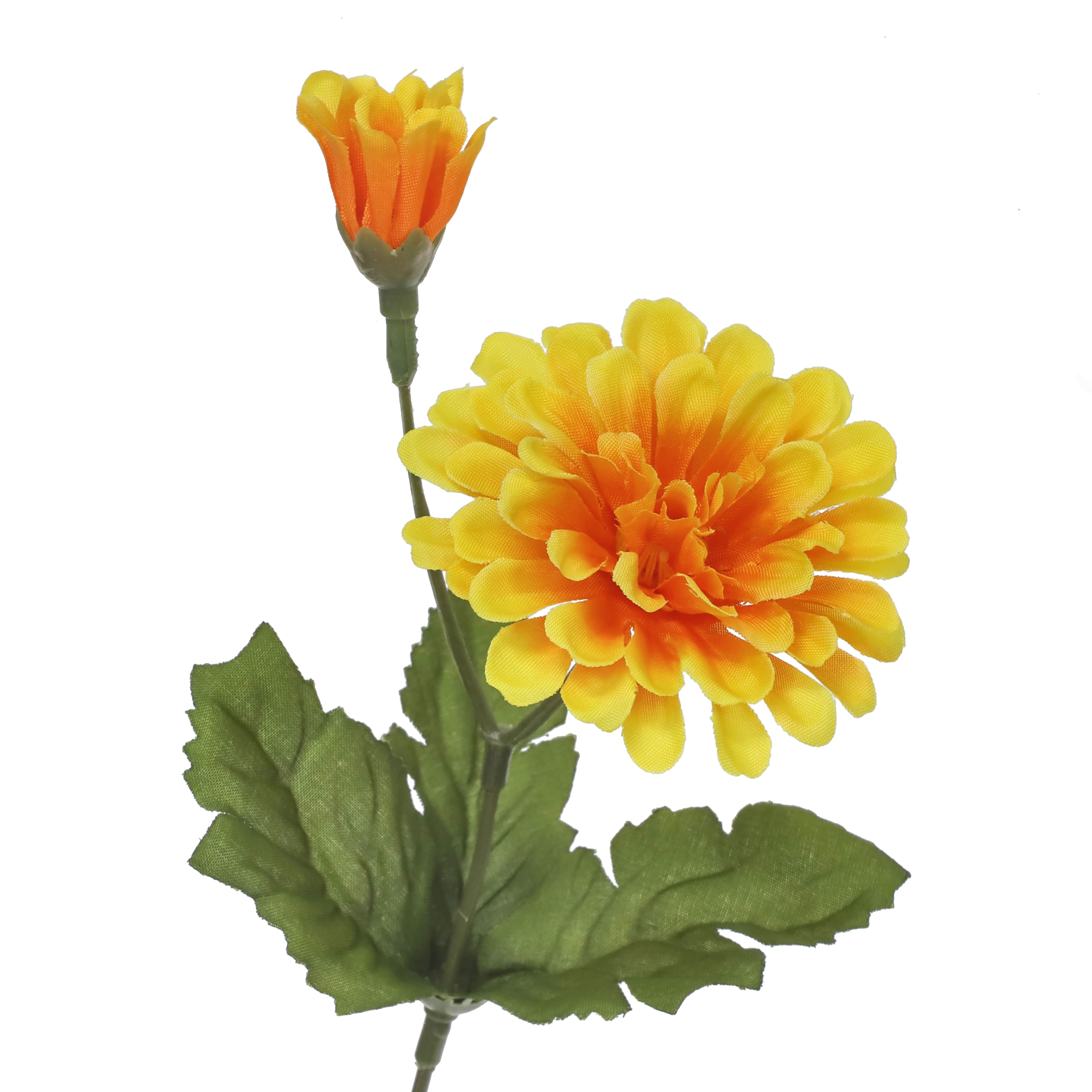 14" Zinnia Bush by Ashland