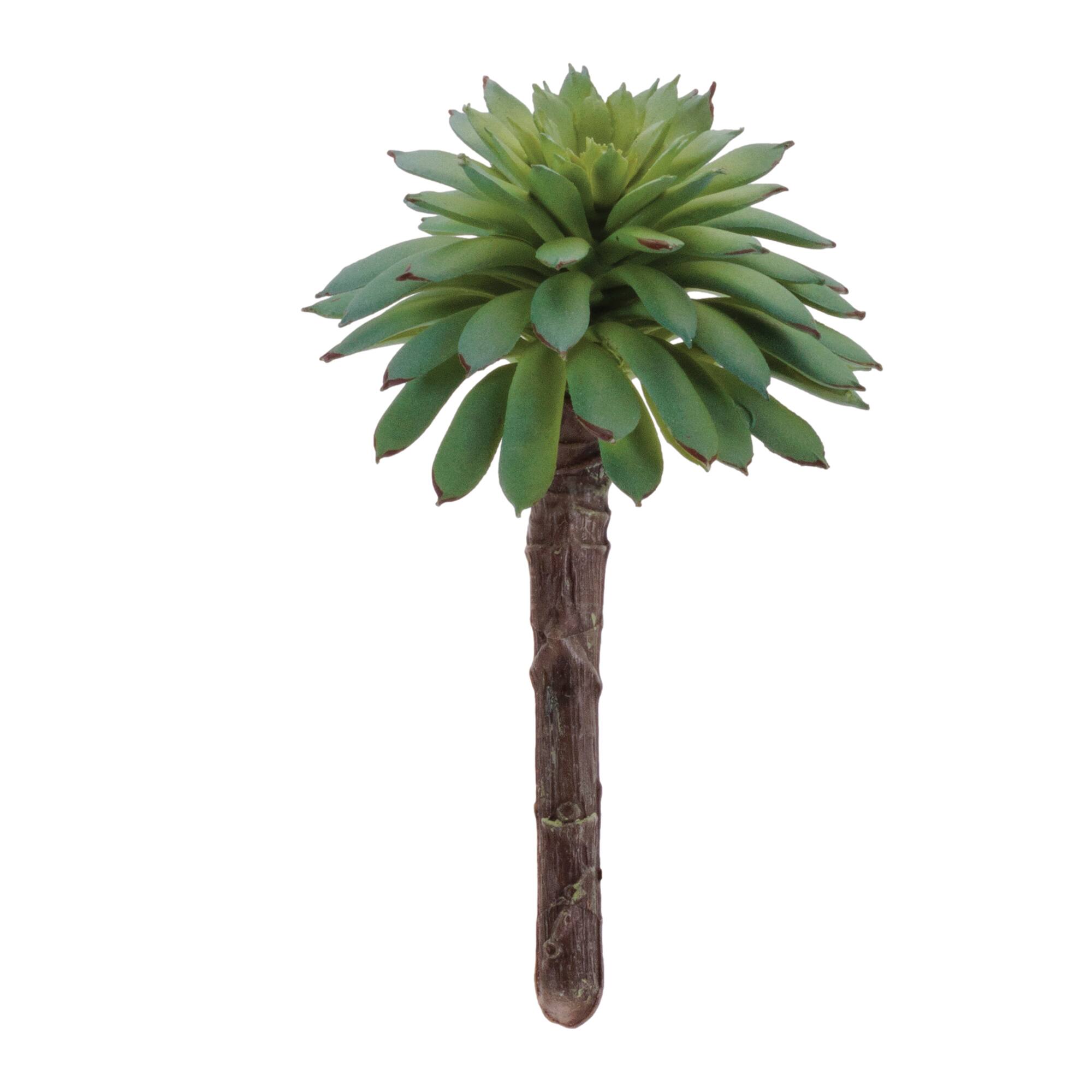 3.75" Green Succulent Plant Picks, 12ct.