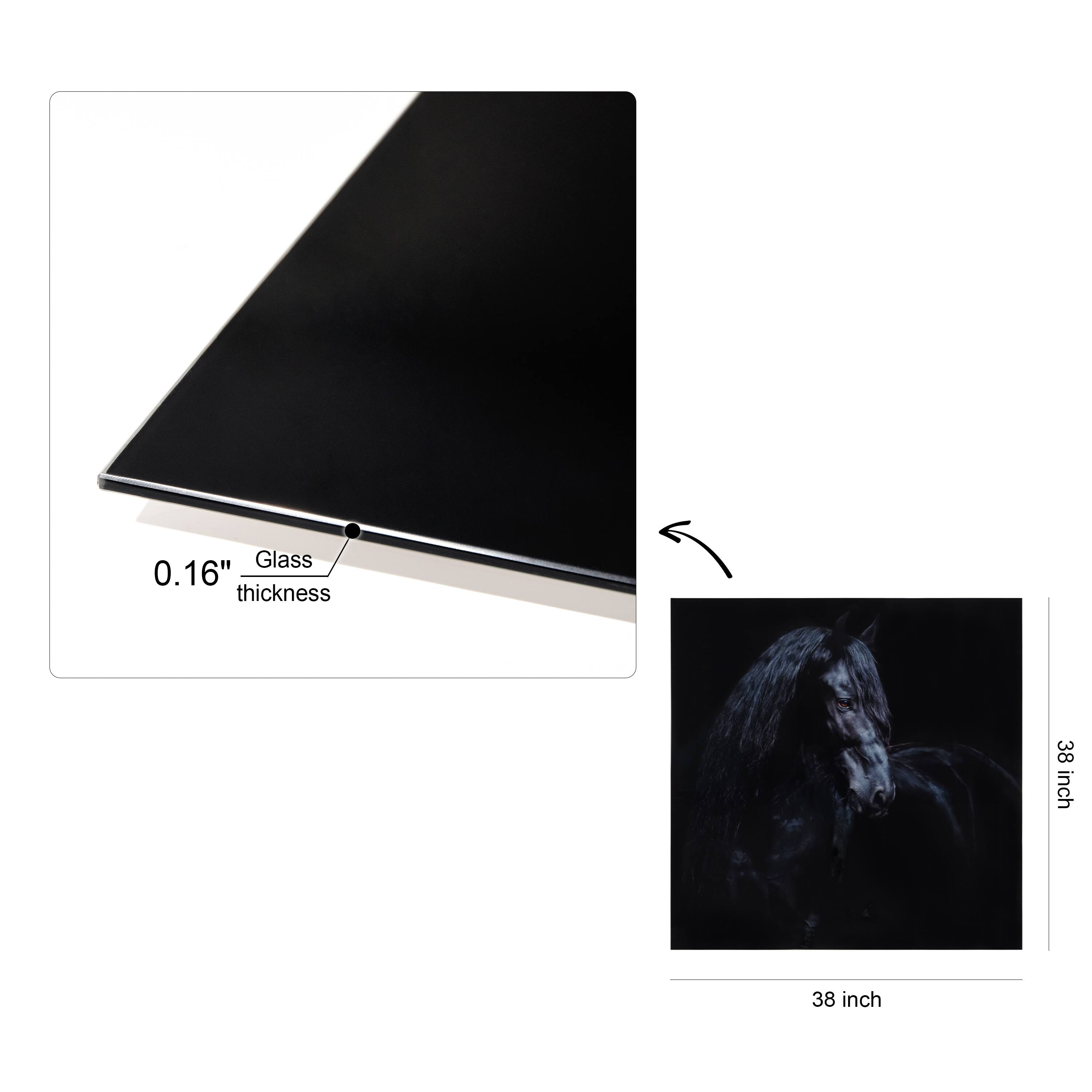 Empire Art Direct 38" x 38" Black Equine Attraction Frameless Printed Tempered Glass Wall Art