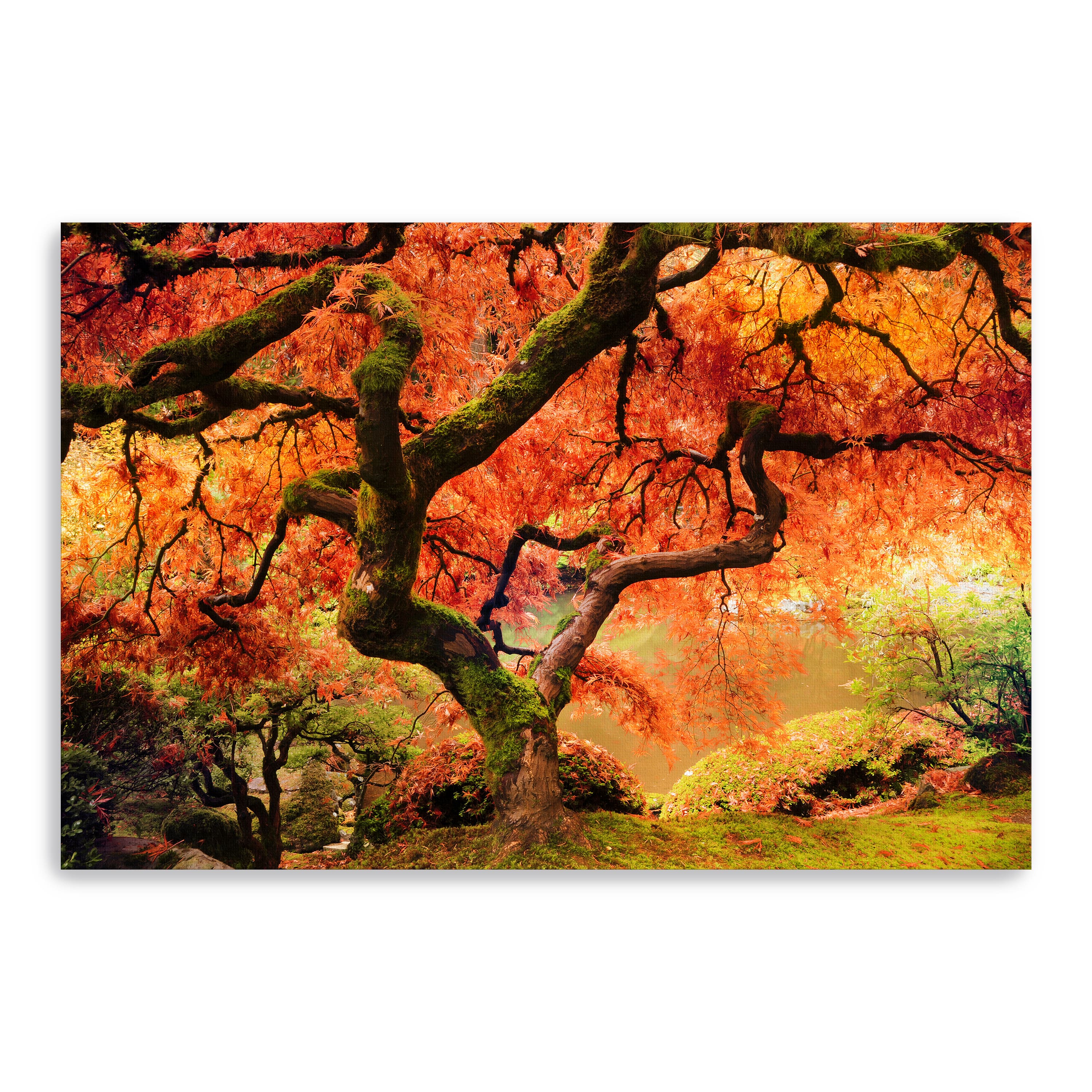 Lumaprints 36" Autumn Symphony Canvas Giclee Wall Art
