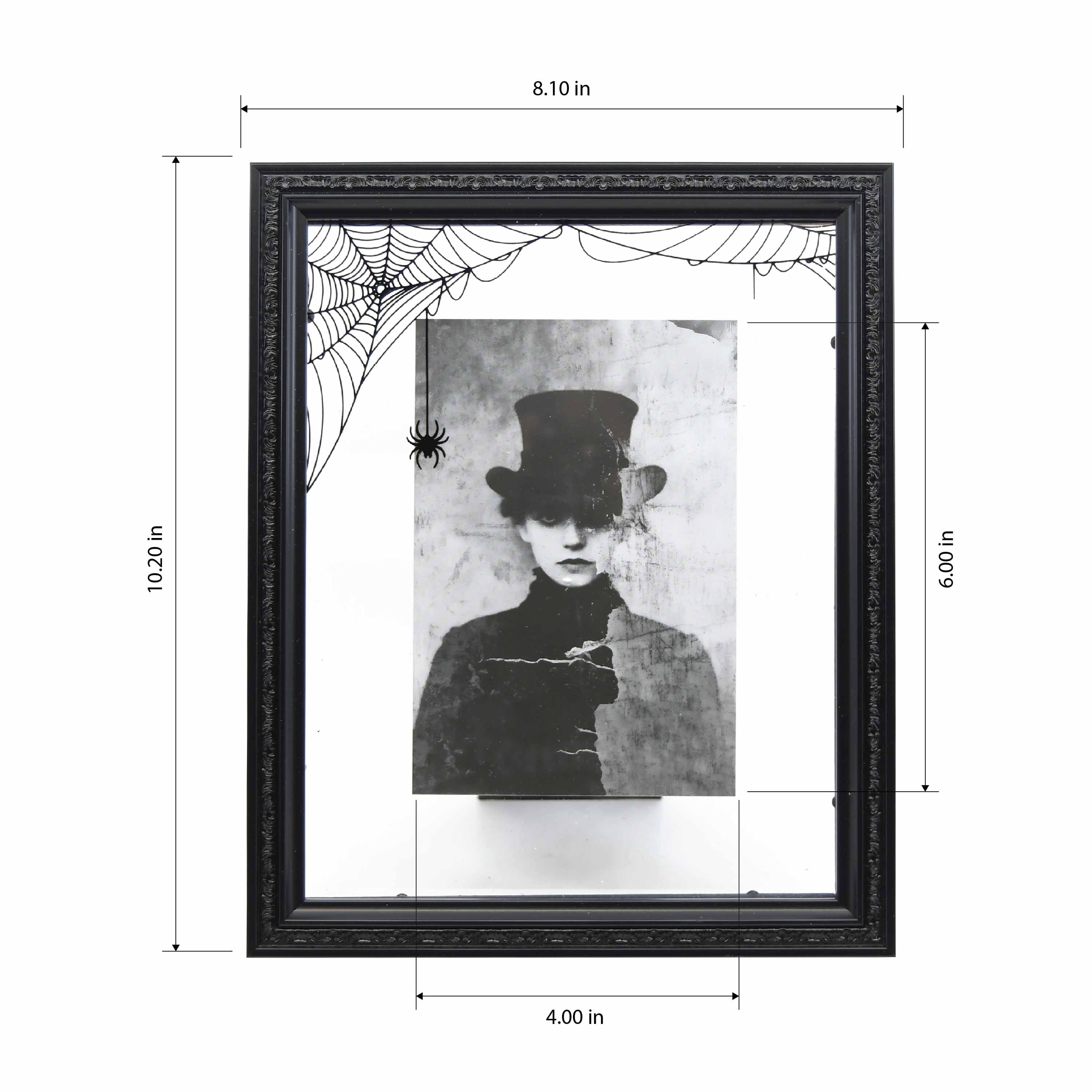 8" x 10" Black Spiderweb Tabletop Float Frame by Ashland®