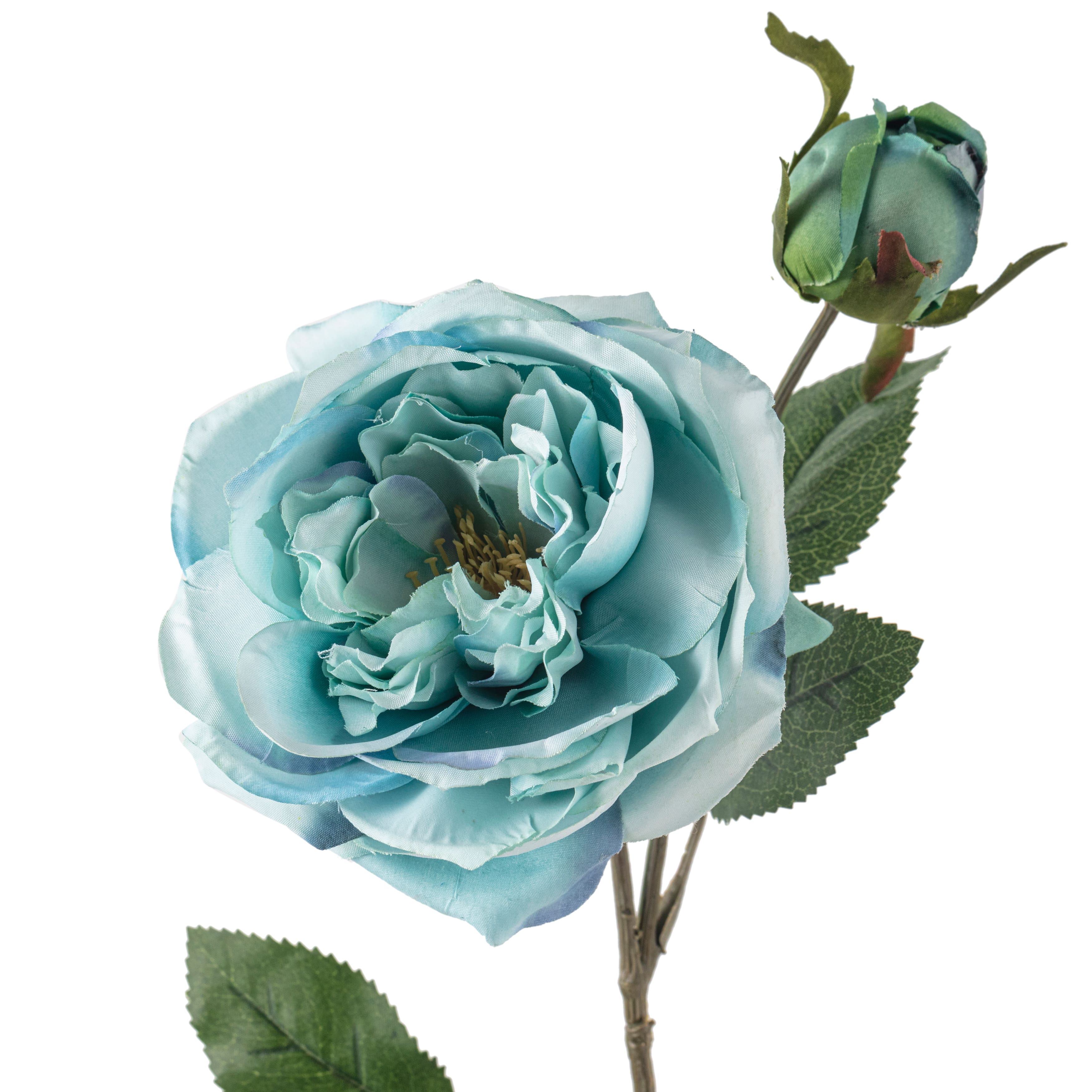 Teal English Rose Stem by Ashland®