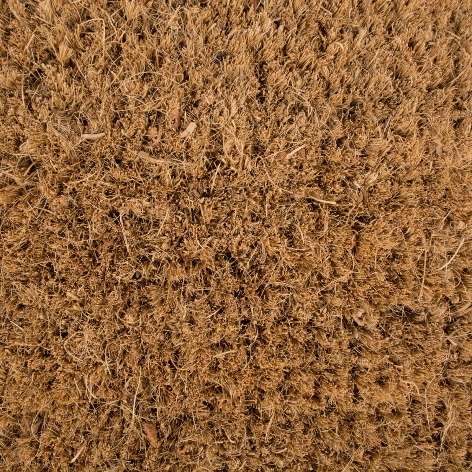 DII® Welcome Woods Doormat