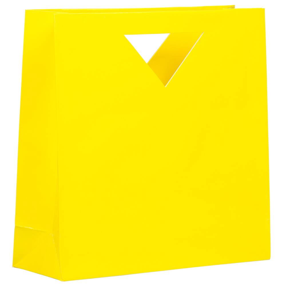 JAM Paper Medium Glossy Gift Bags with Triangle Handle