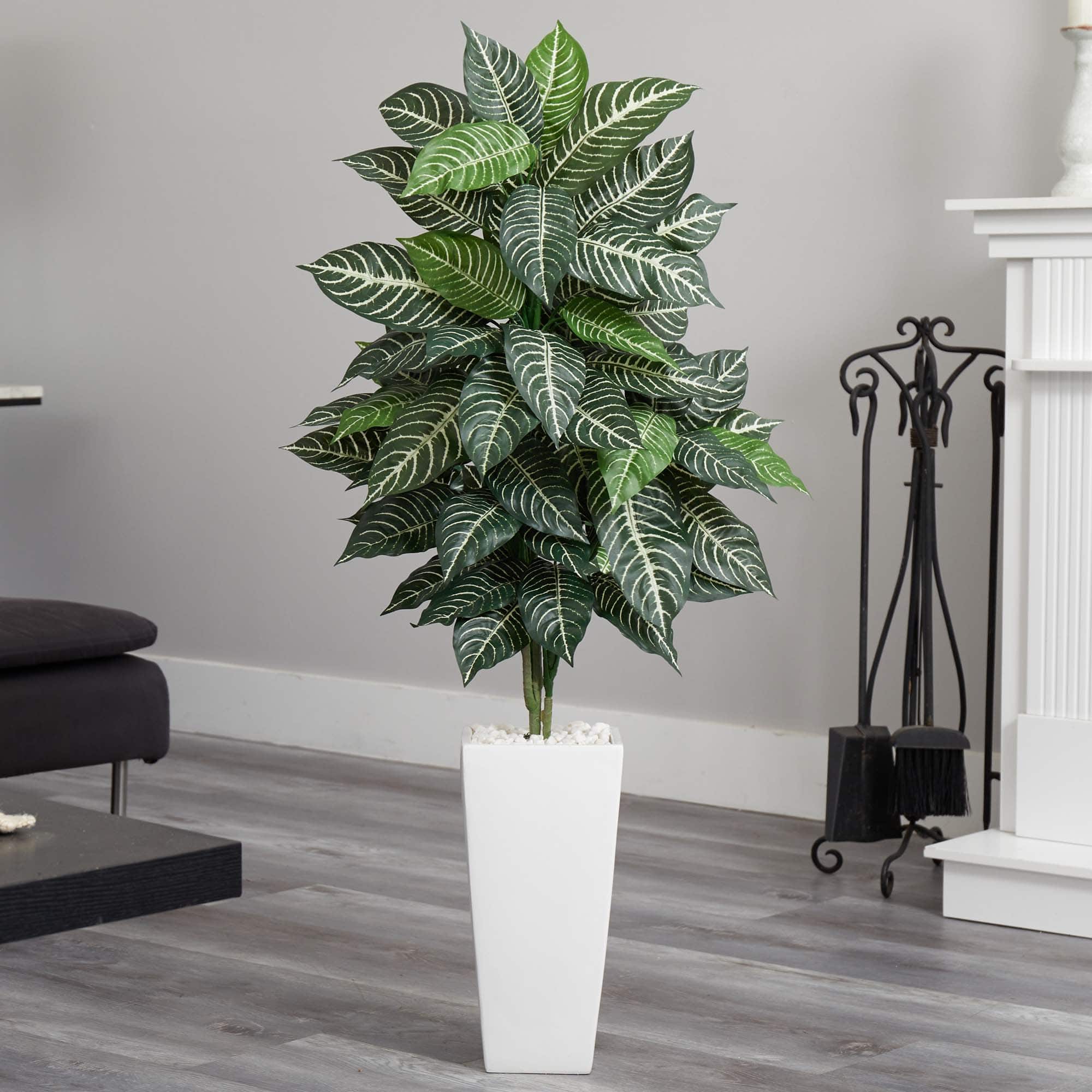 4ft. Zebra Plant in White Tower Planter