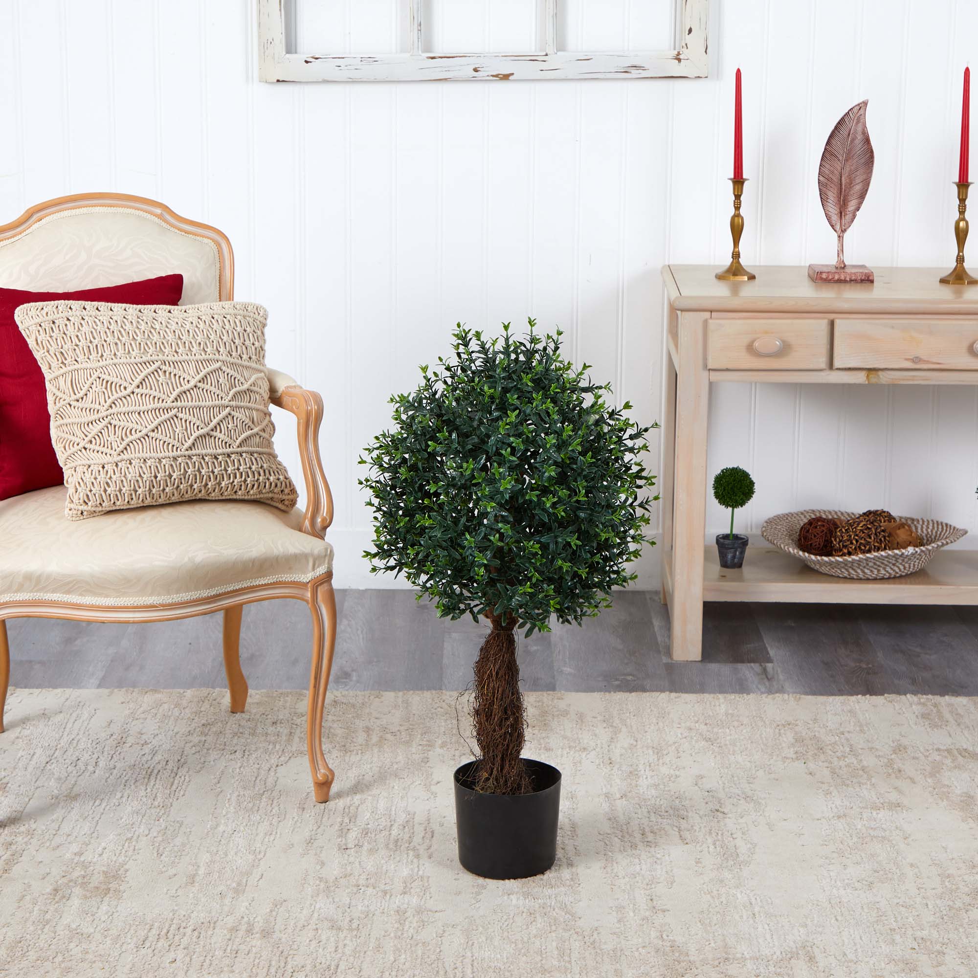 3ft. Potted Ixora Topiary