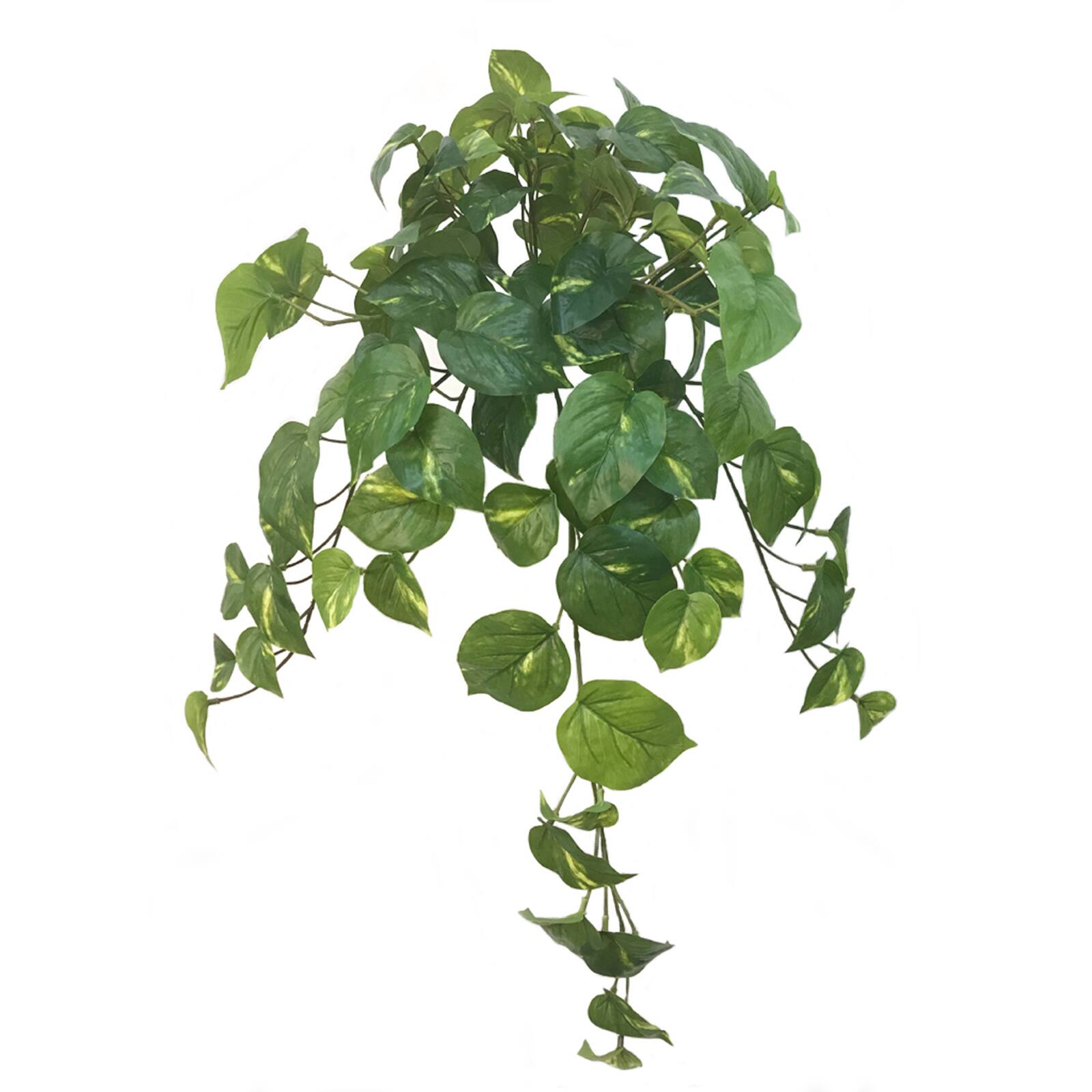 12 Pack: Hanging Philo Bush by Ashland®