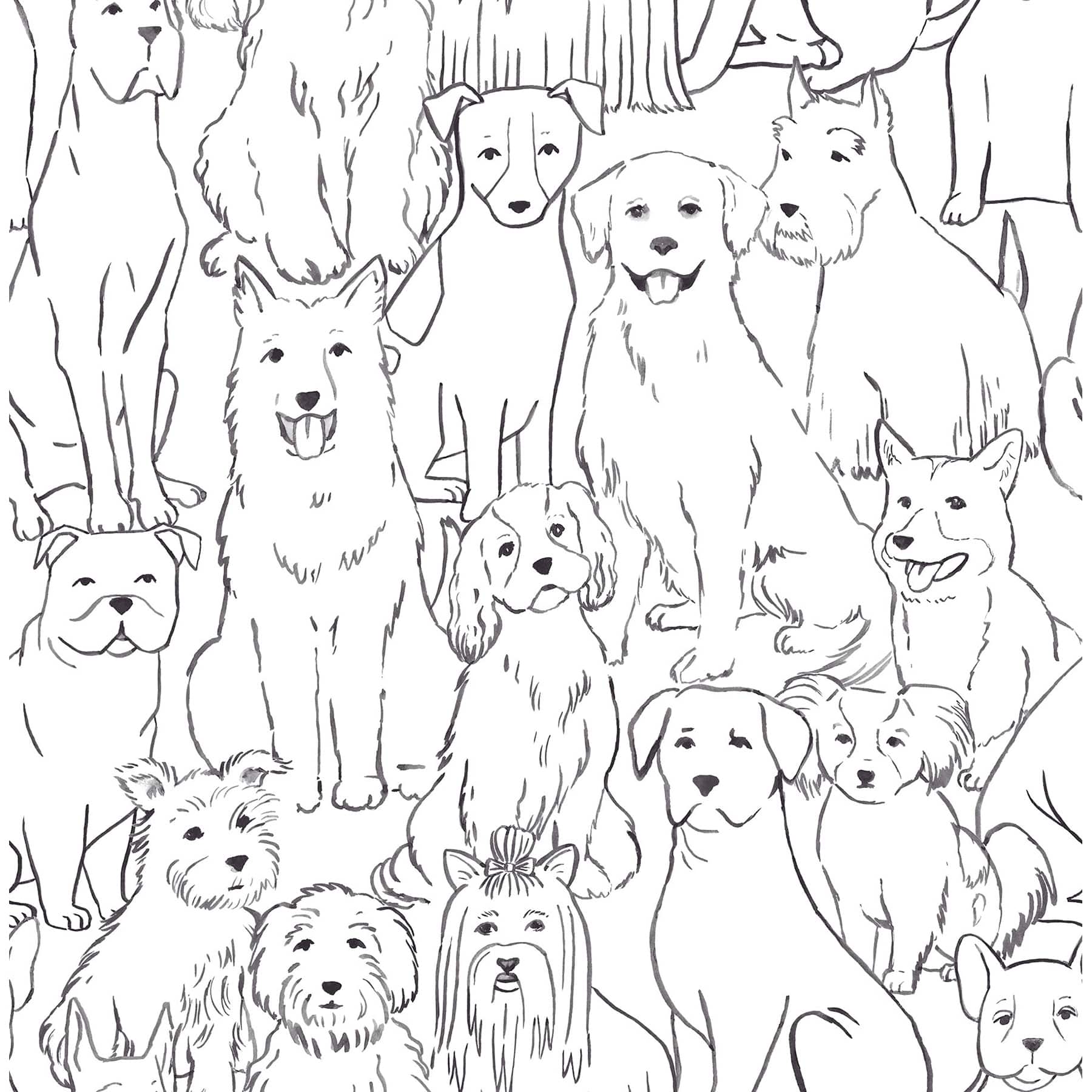 Wallpaper Black & White Paws On Peel & Stick Wallpaper