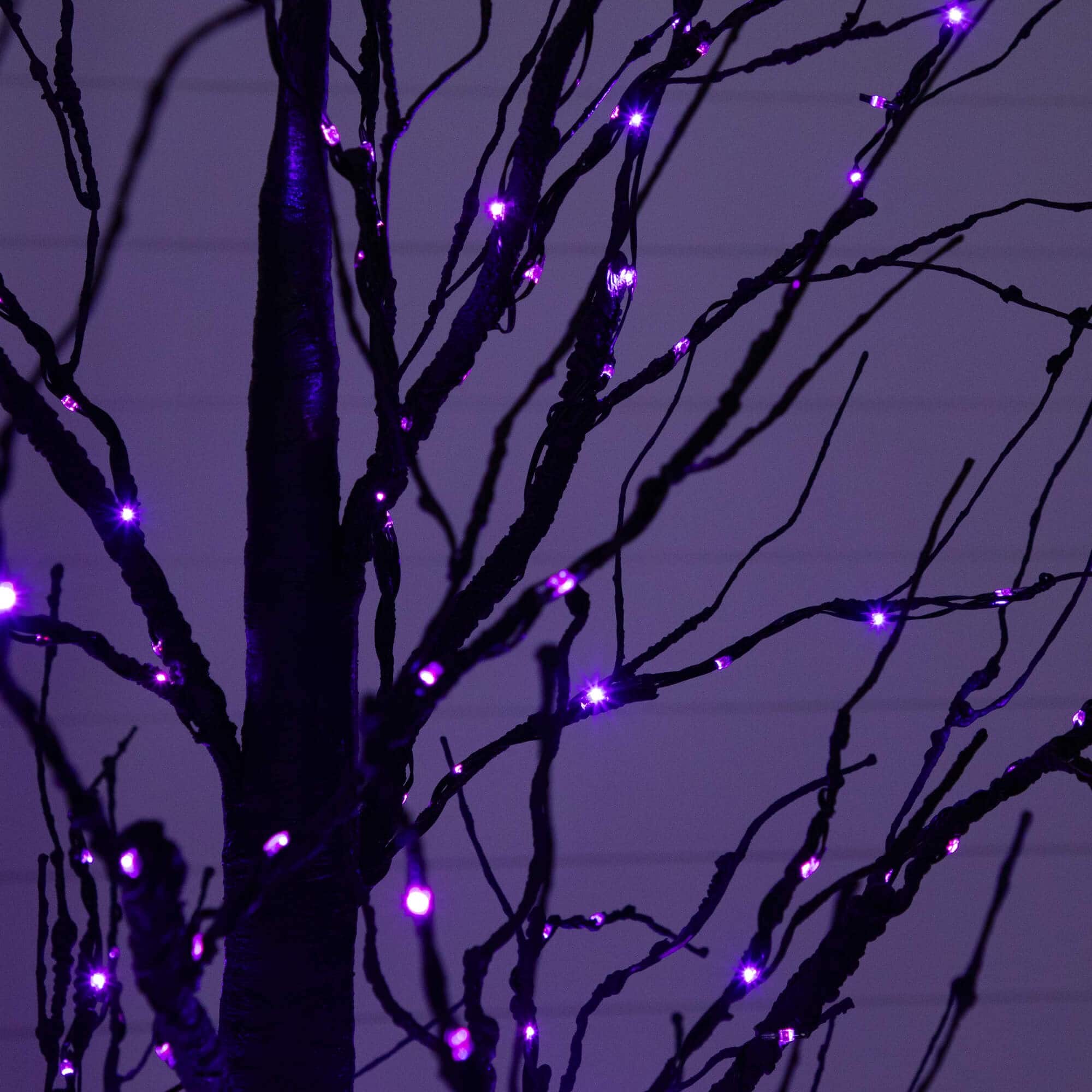 7ft. Pre-Lit Halloween Black Twig Artificial Tree with 390 Orange & Purple LED Lights