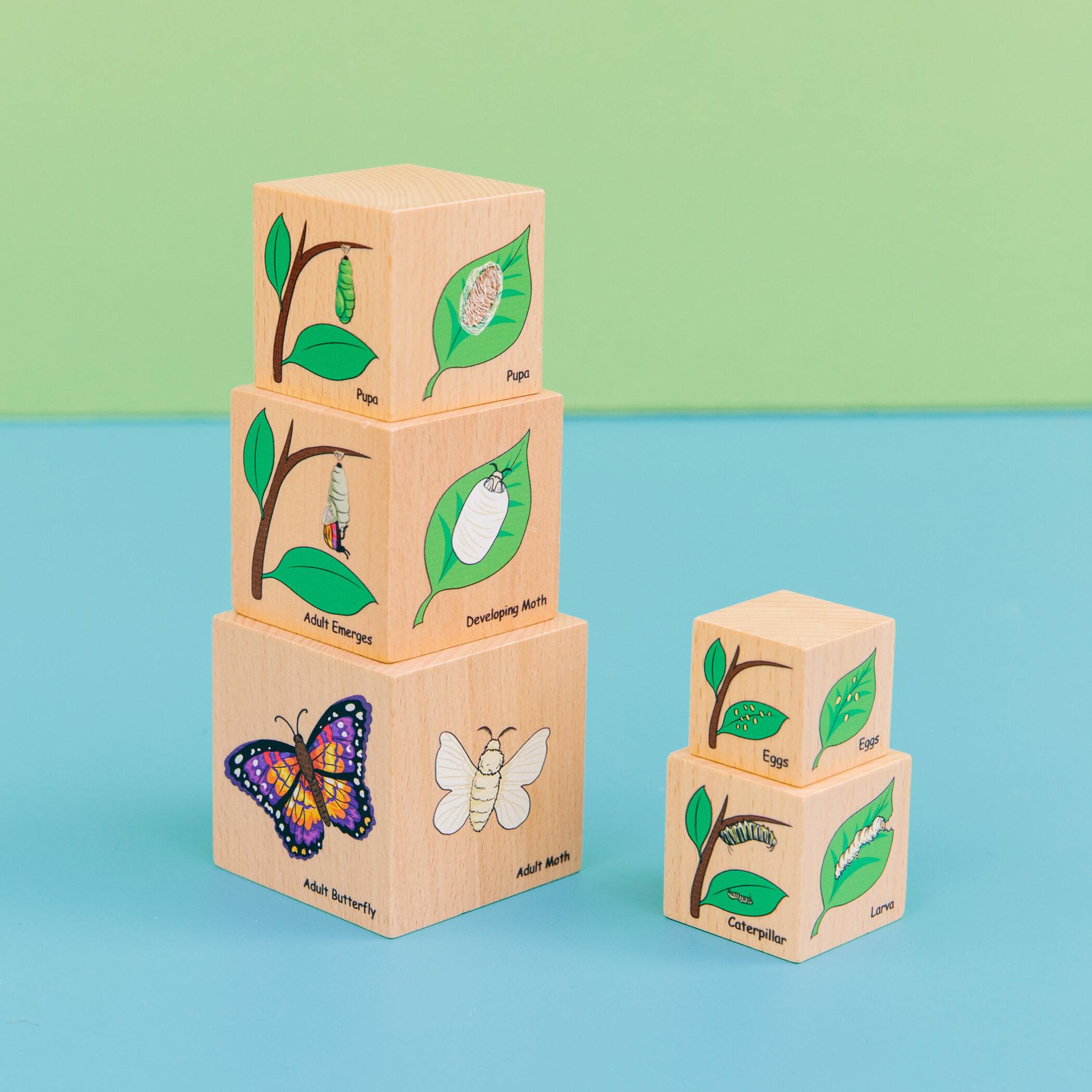 The Freckled Frog Lifecycle Wooden Blocks Set