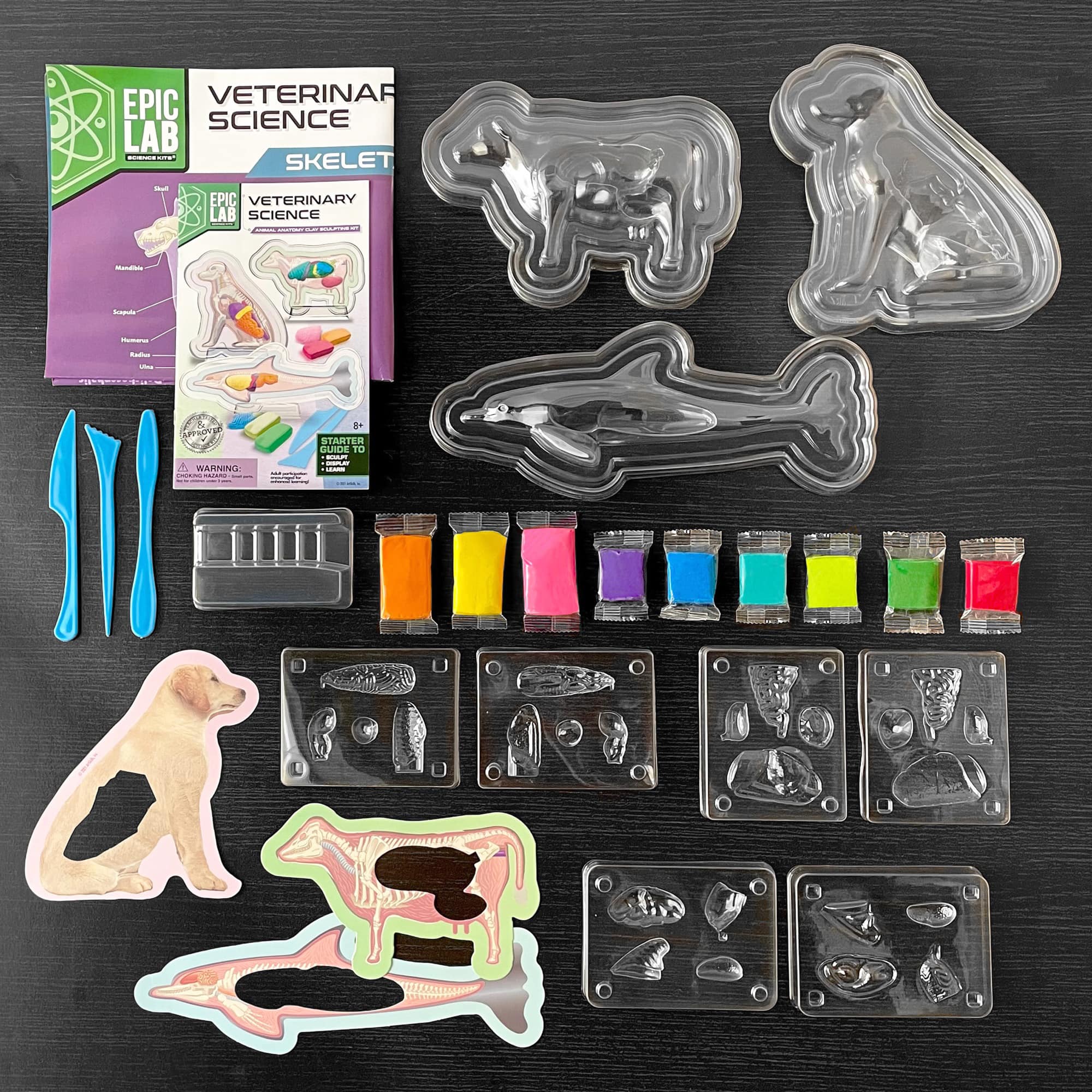 ArtSkills® Epic Lab Veterinary Science STEM Kit
