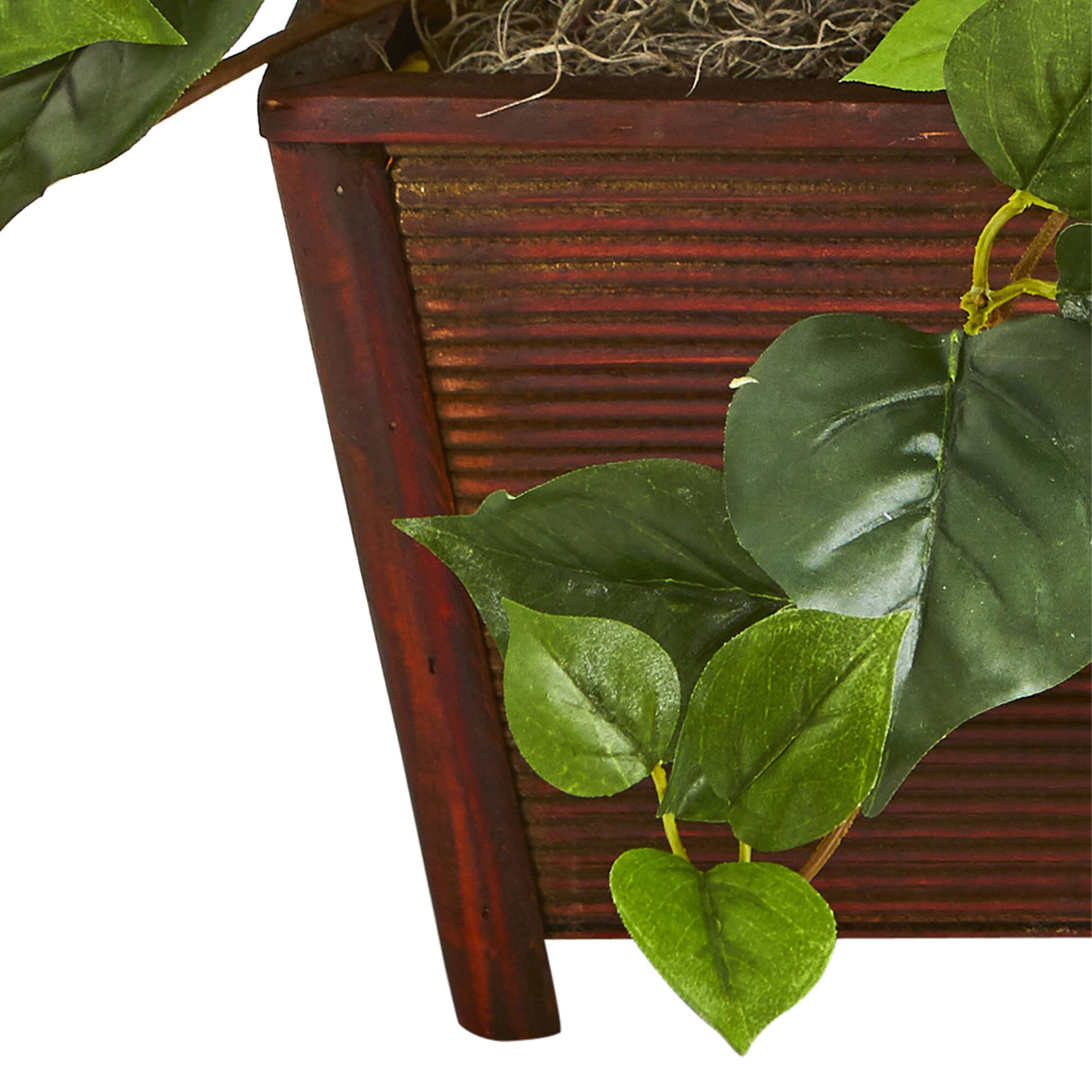 18'' White Bougainvillea Plant in Brown Planter