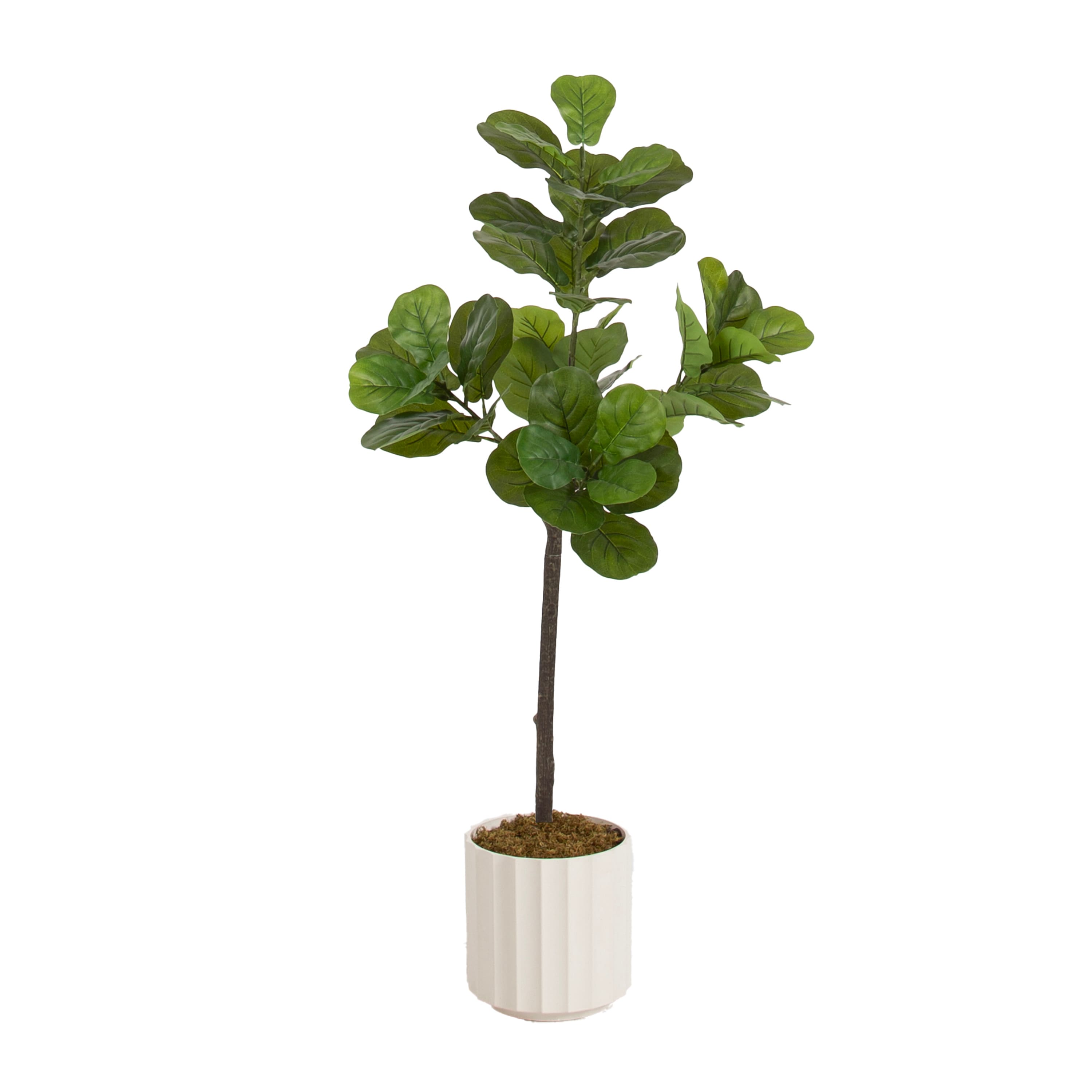 Kate and Laurel 4ft. Fidmont Faux Fiddle Fig Tree with White Planter