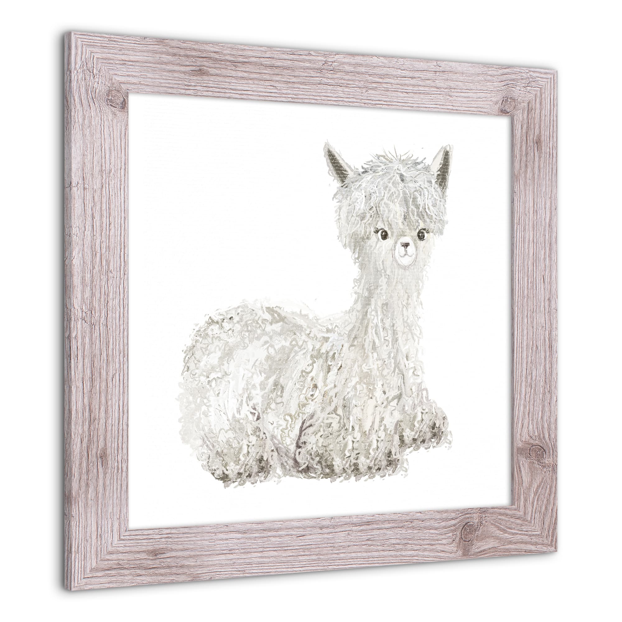 Lilly The Llama Western Framed Print