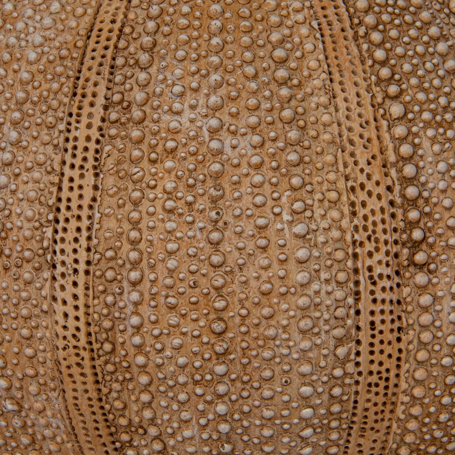 Hello Honey® 18.5" Beige Stacked Sea Urchin Table Lamp with Linen Shade, 2ct.