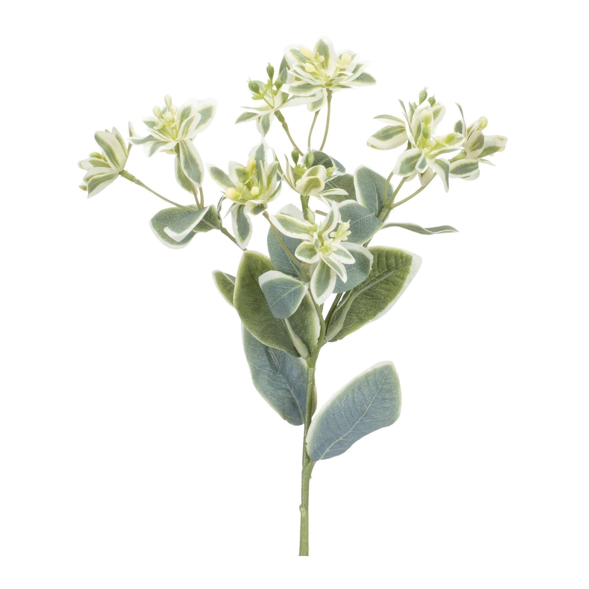 18.5" Euphorbia Floral Stems, 6ct.