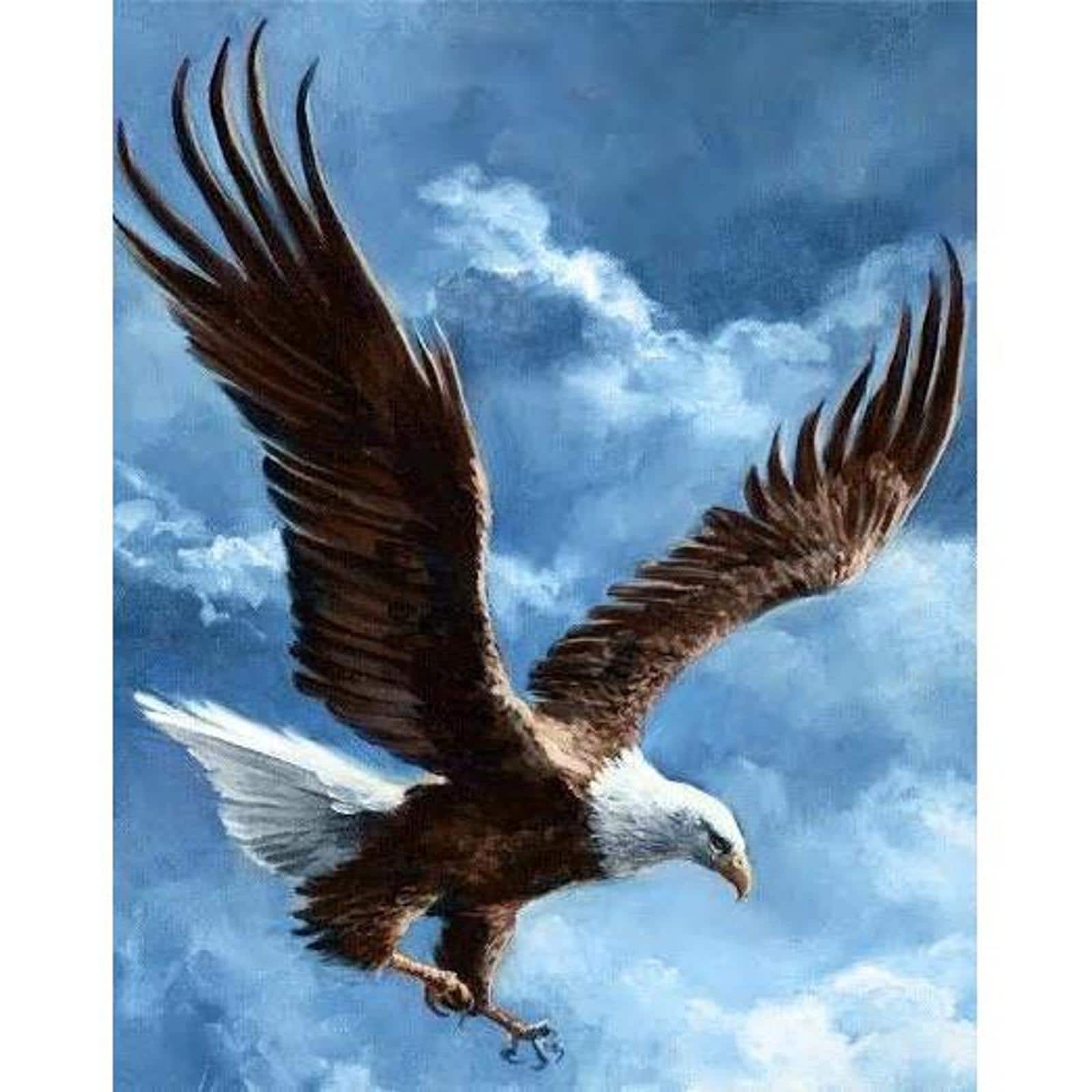 Wizardi Sky Conqueror Diamond Painting Kit