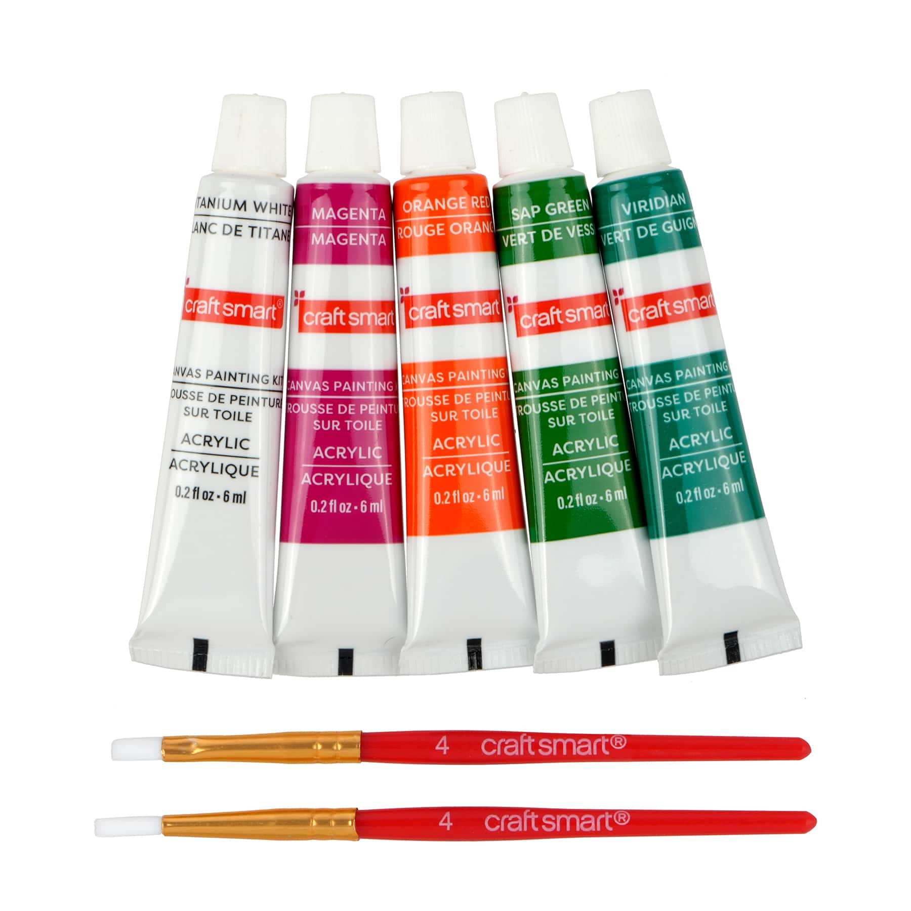 Mini Spring Cat Canvas Painting Kit by Craft Smart®