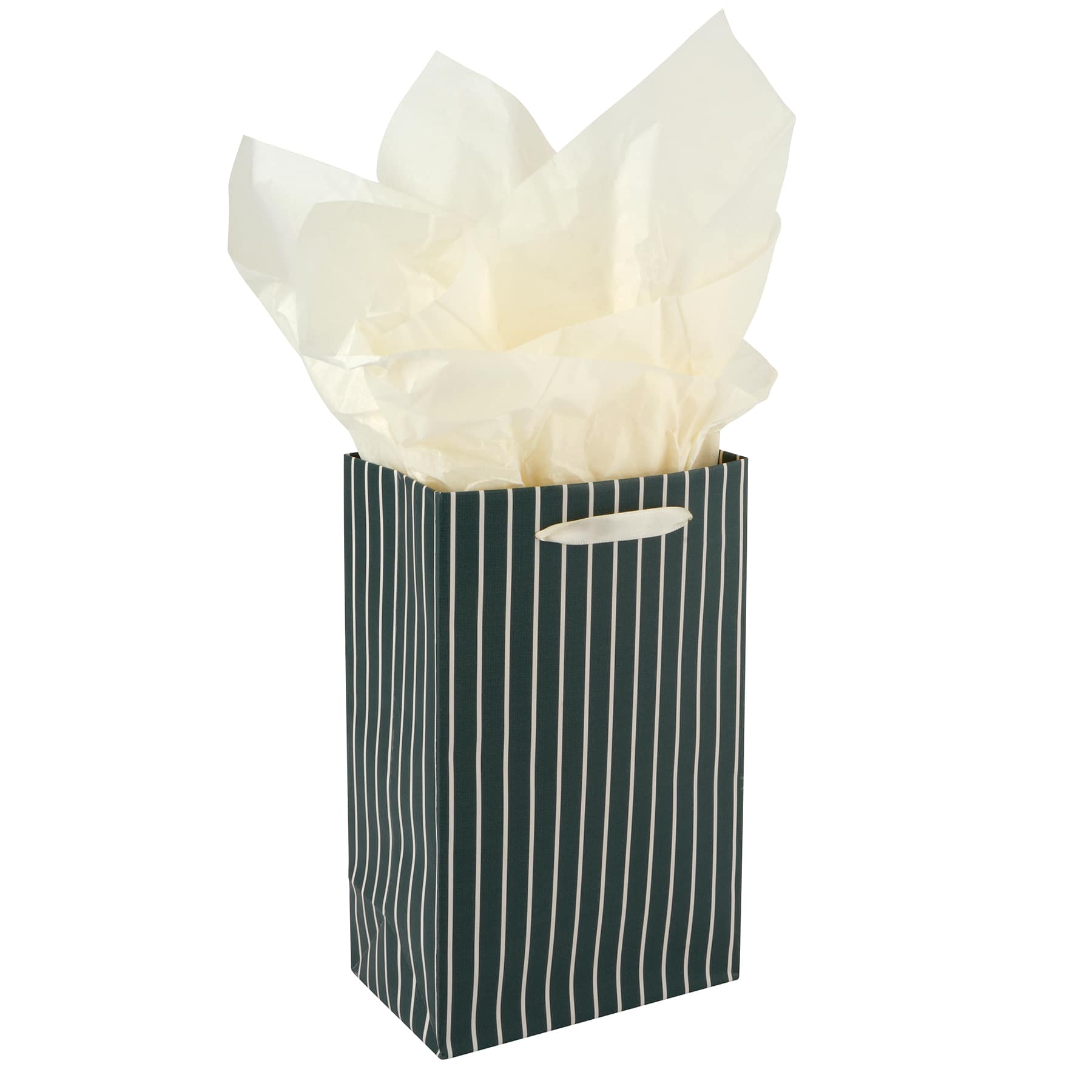 Dark Green Stripe Gift Bag & Tissue Set by Fab Finds™
