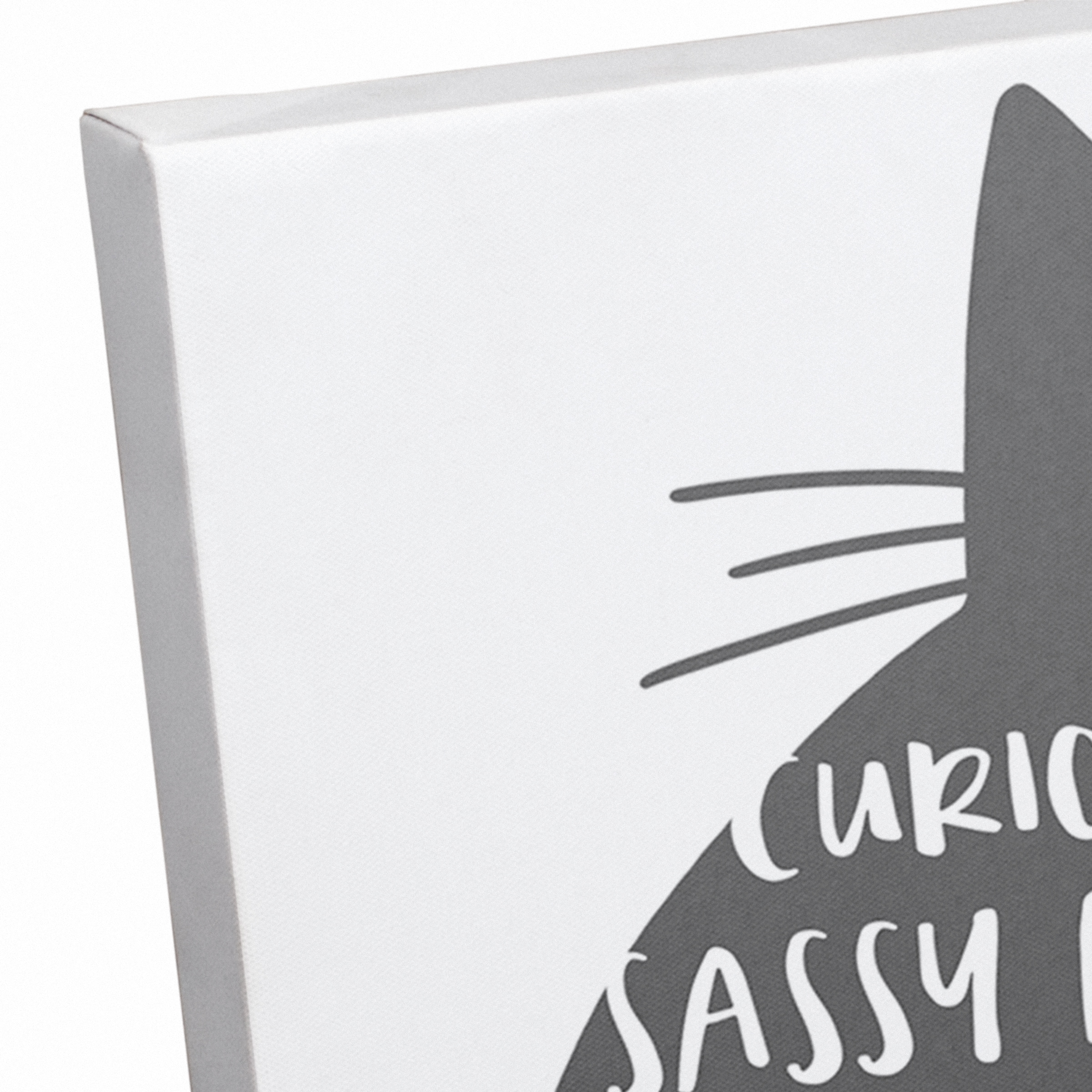Curious Cat Canvas Wall Art