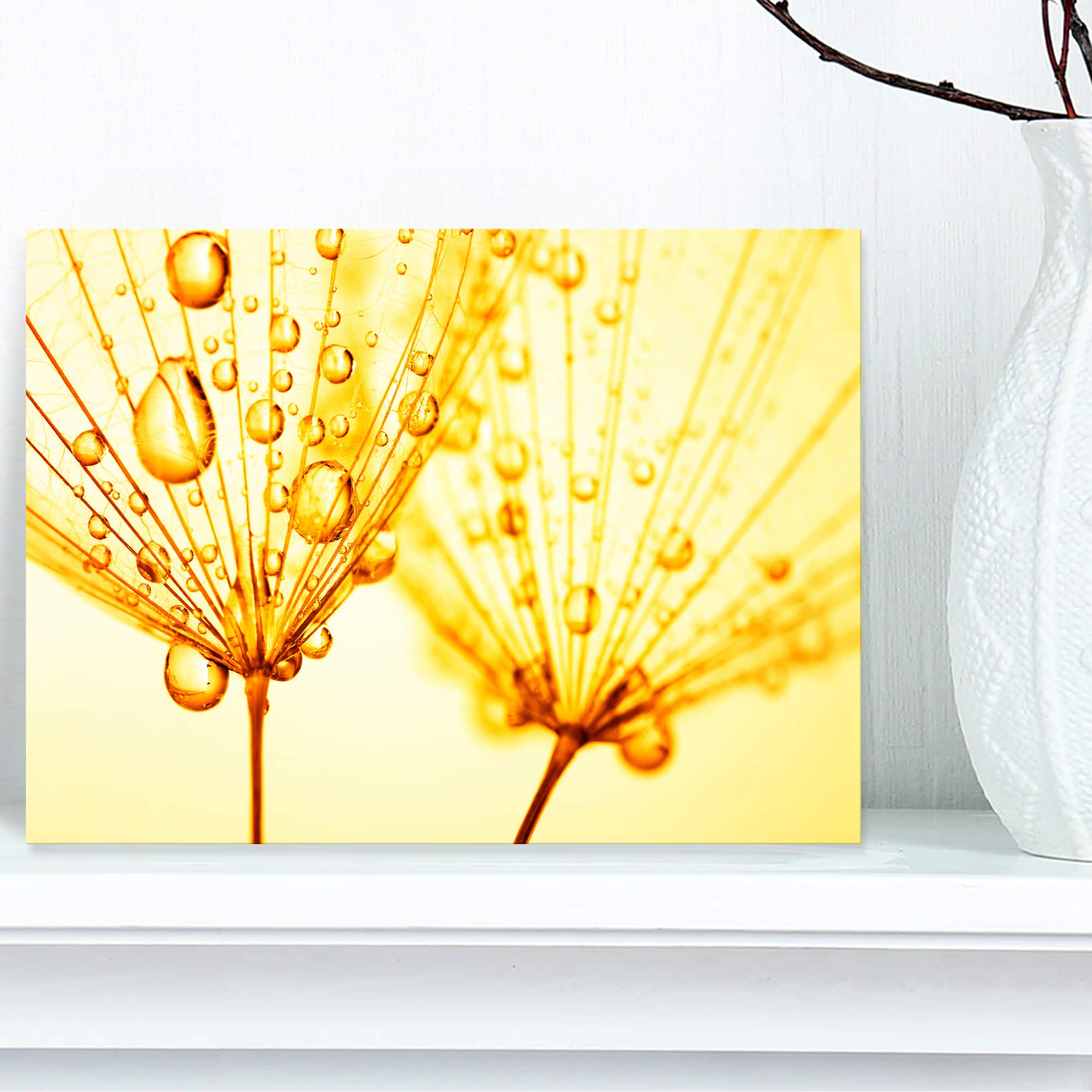 Designart - Dandelion Seeds with Water Drops - Floral Canvas Art Print
