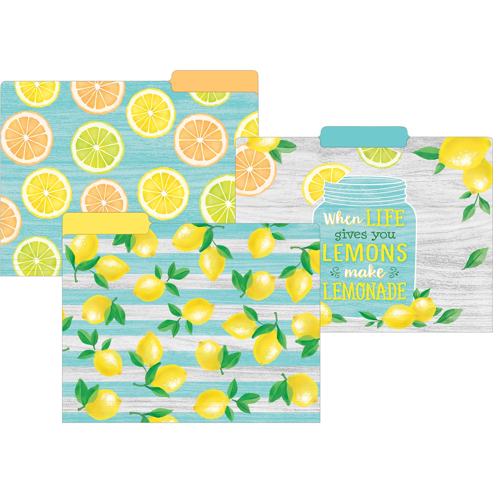 Teacher Created Resources Lemon Zest File Folders, 2 Packs of 12