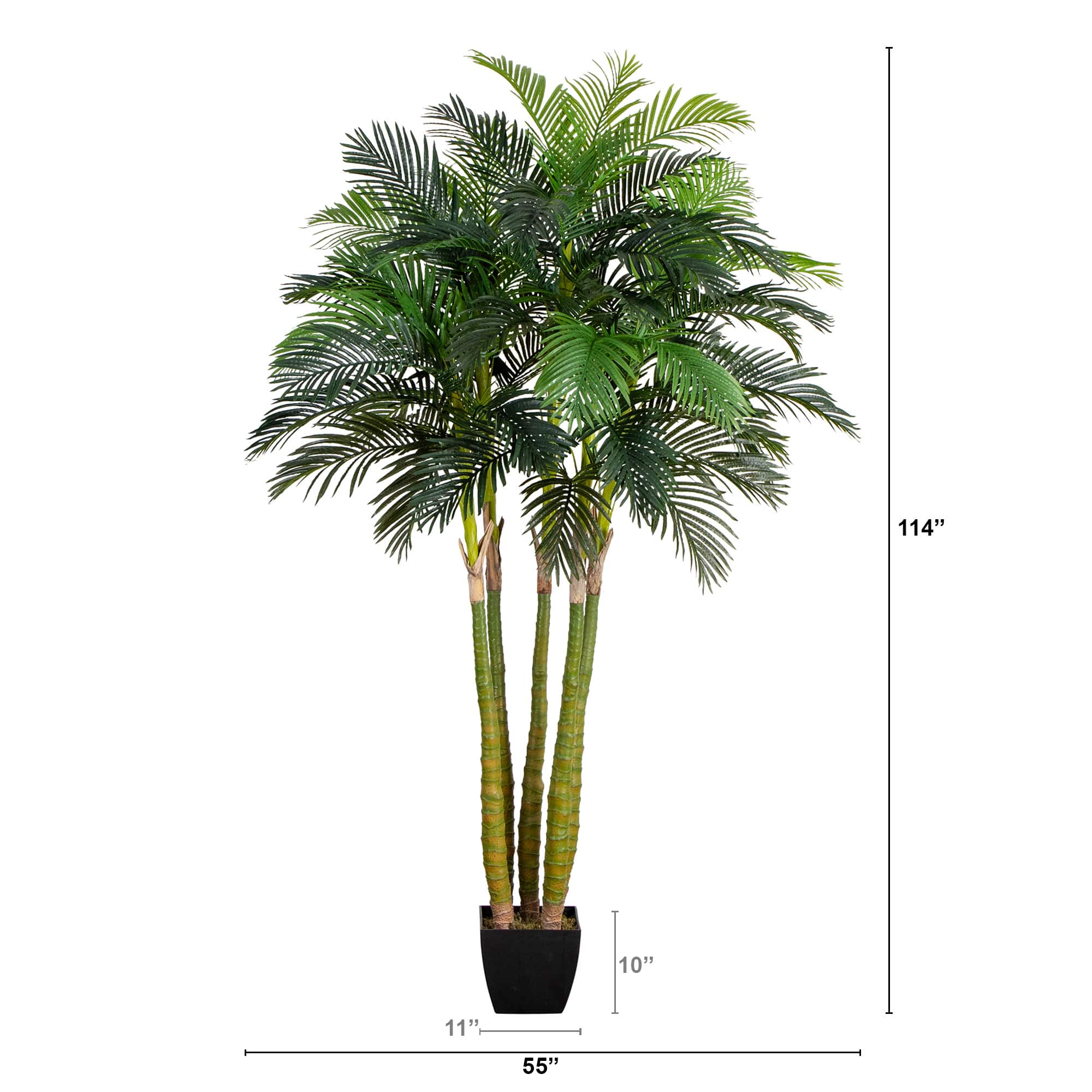9.5ft. Potted Giant 5 Stalk Areca Palm Tree