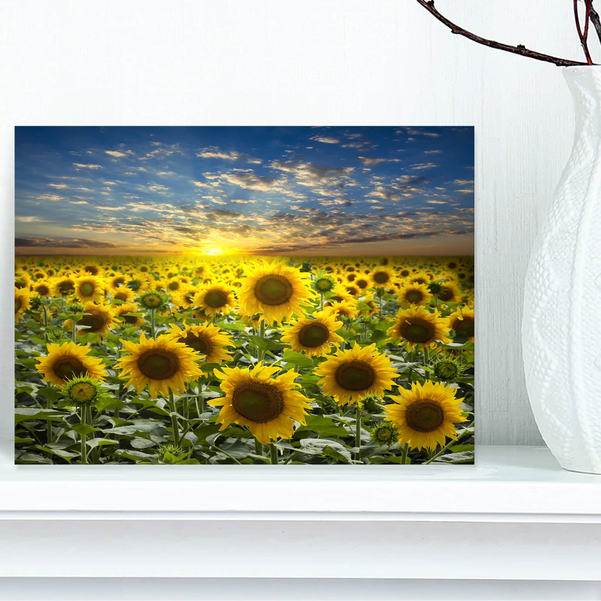 Designart - Field of Blooming Sunflowers