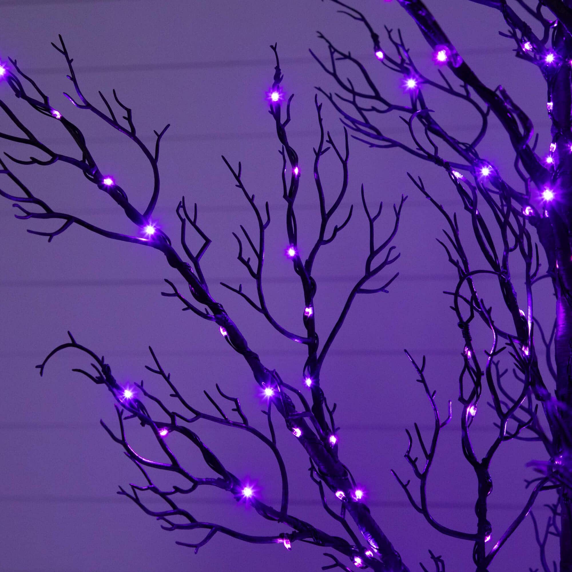 5ft. Pre-Lit Halloween Minimalist Twig Artificial Fall Tree with 240 Orange & Purple LED Lights