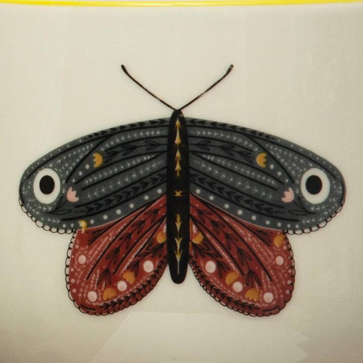 Hello Honey® 12oz. Stoneware Mugs with Painted Winged Insects Set