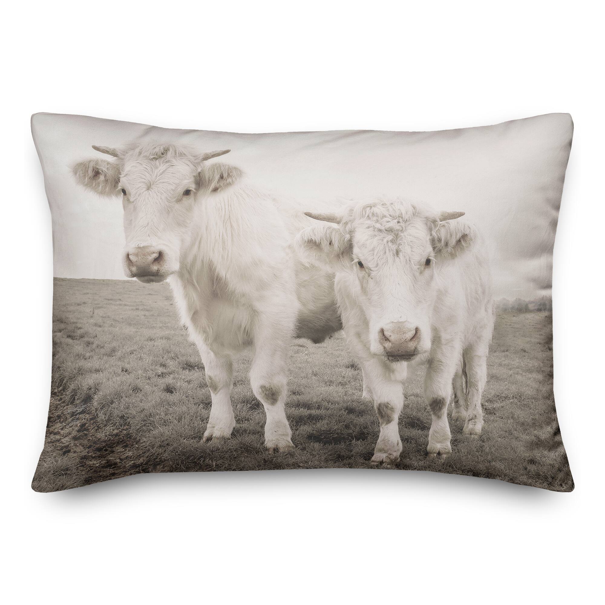 Cow Photograph Indoor/Outdoor Pillow