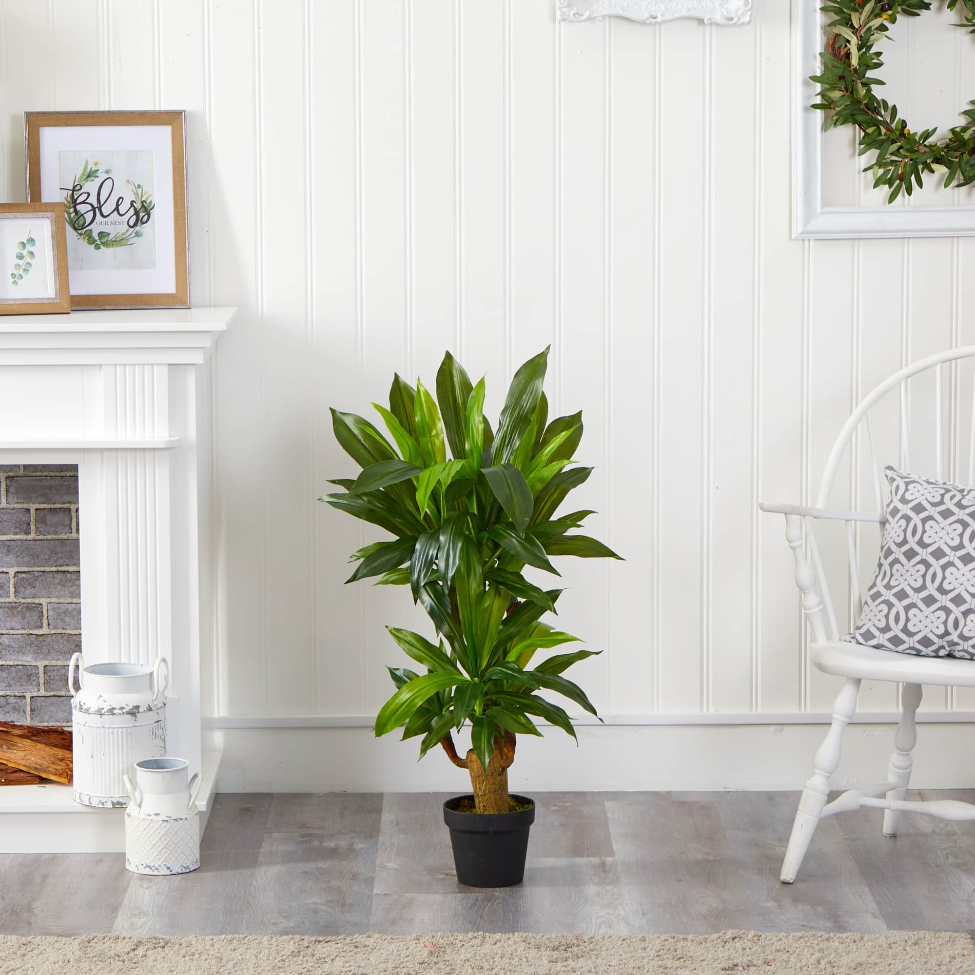 3ft. Potted Corn Stalk Plant