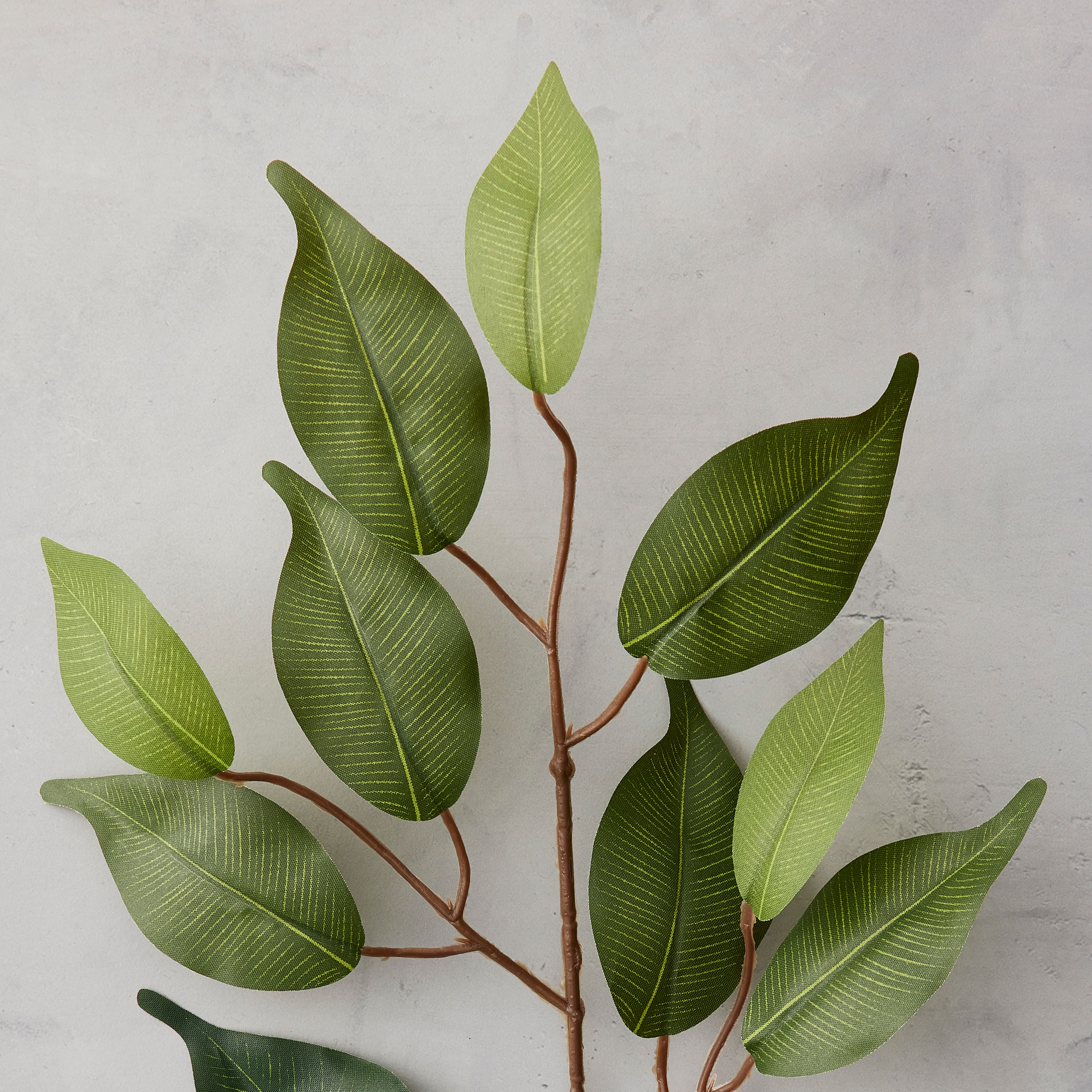 23" Ficus Spray Floral Essentials by Ashland®