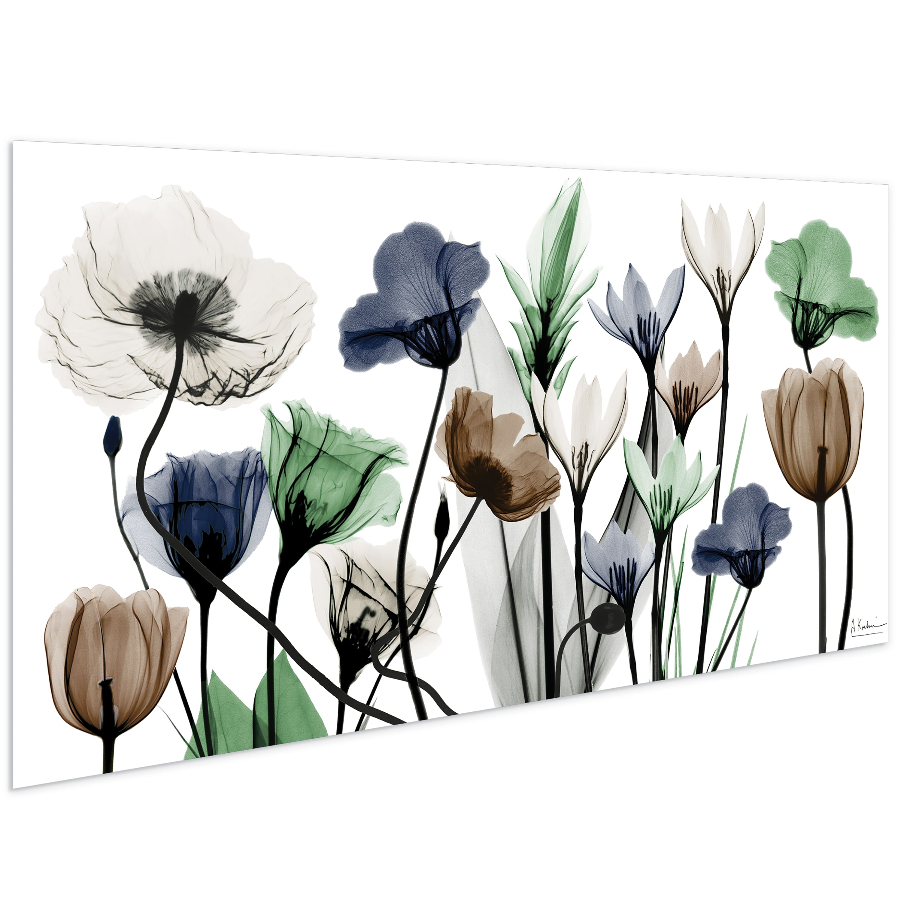 Empire Art Direct 24" x 48" Floral Landscape Frameless Free Floating Printed Tempered Glass Wall Art