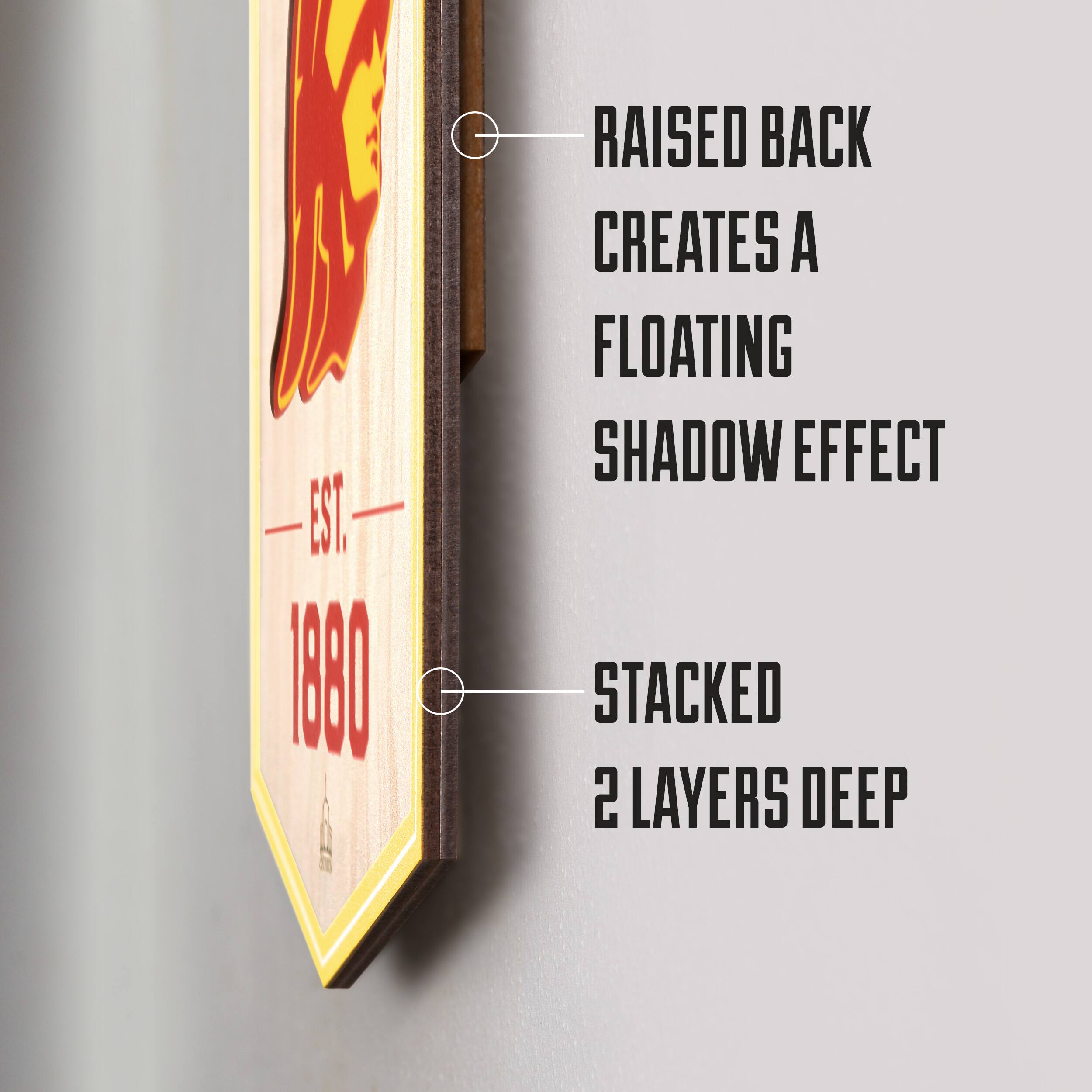 6" x 19" 3D StadiumView Banner