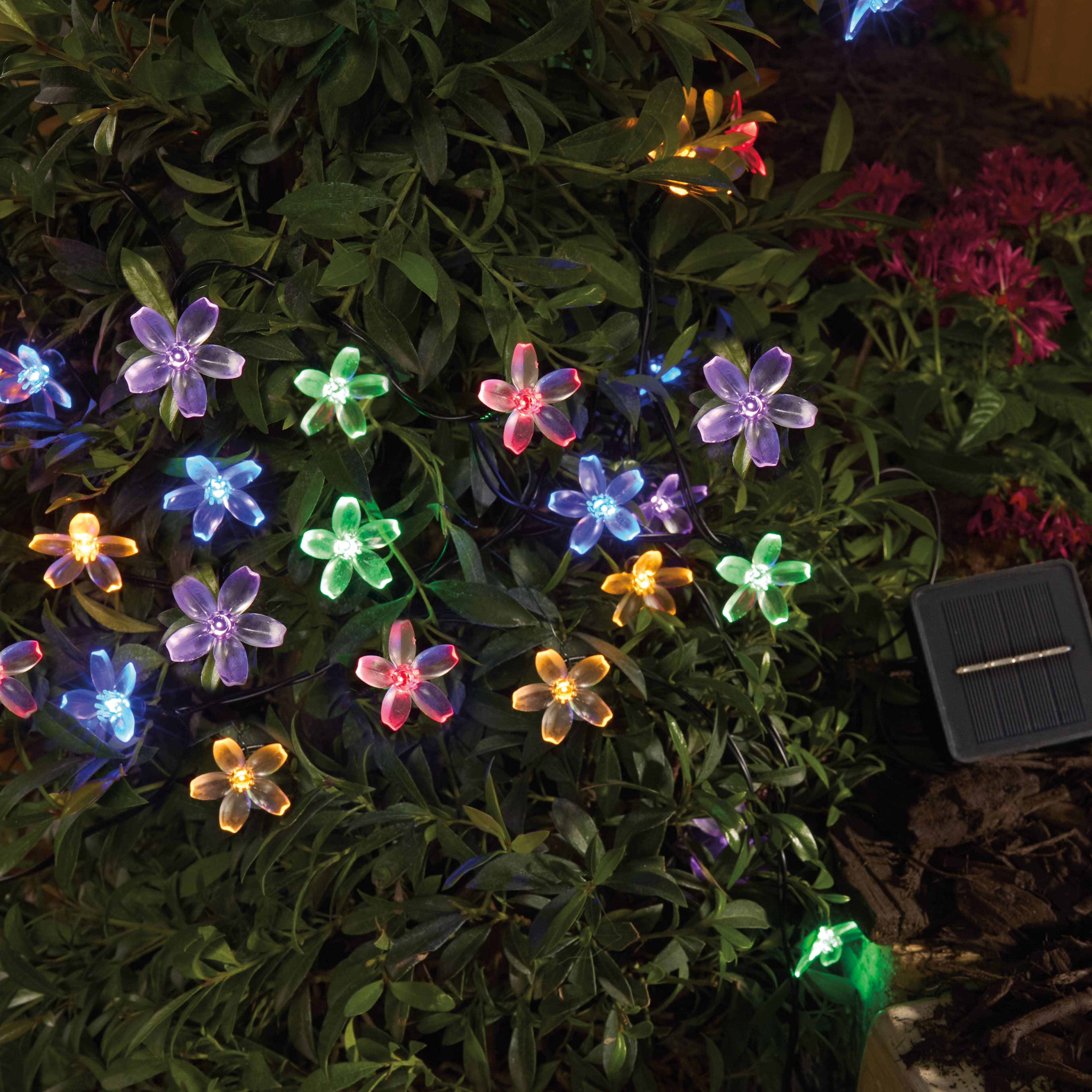 50ct. Multicolour Flowers LED Solar String Lights by Ashland®