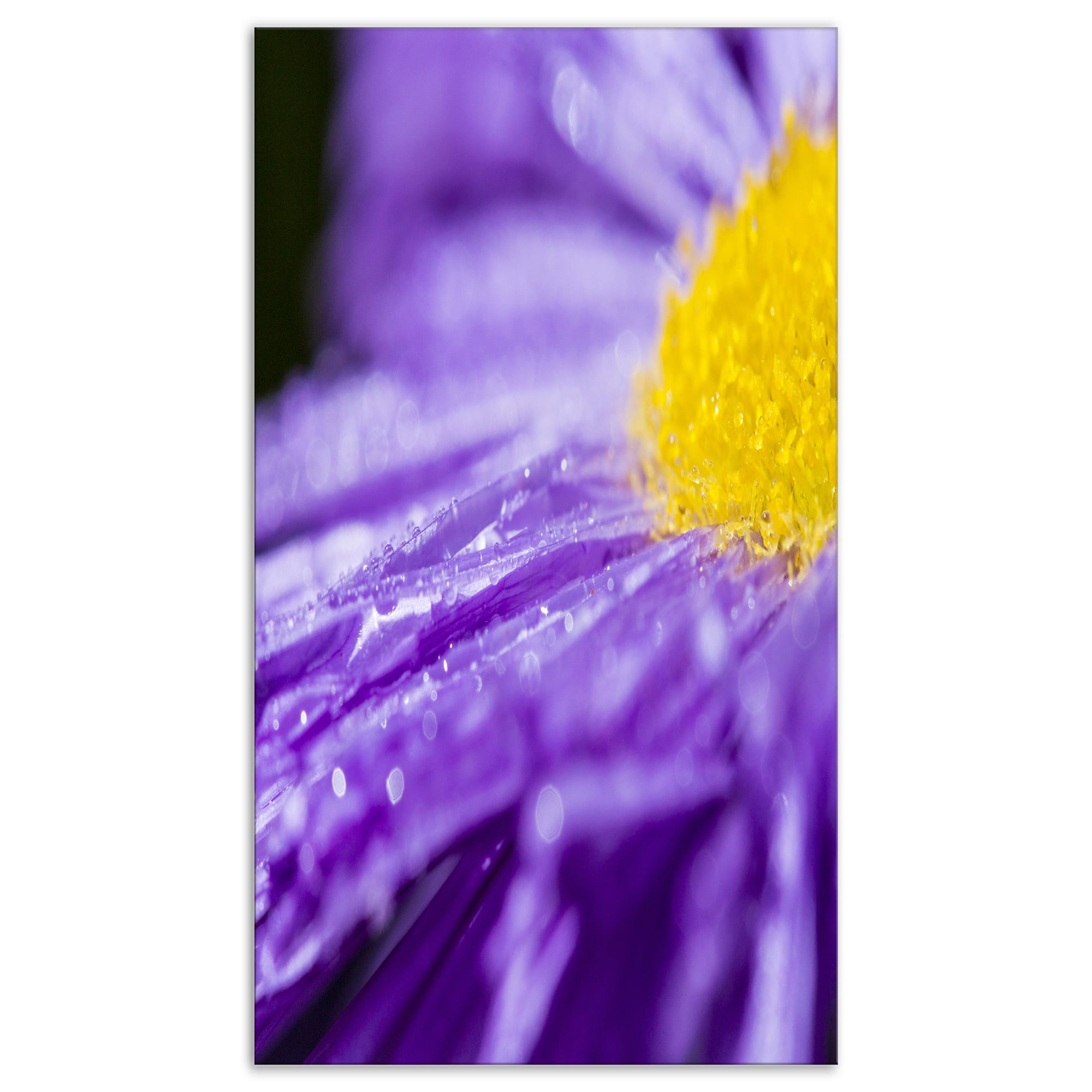 Designart - Large Violet Flower Petal Close up - Large Flower Canvas Wall Art