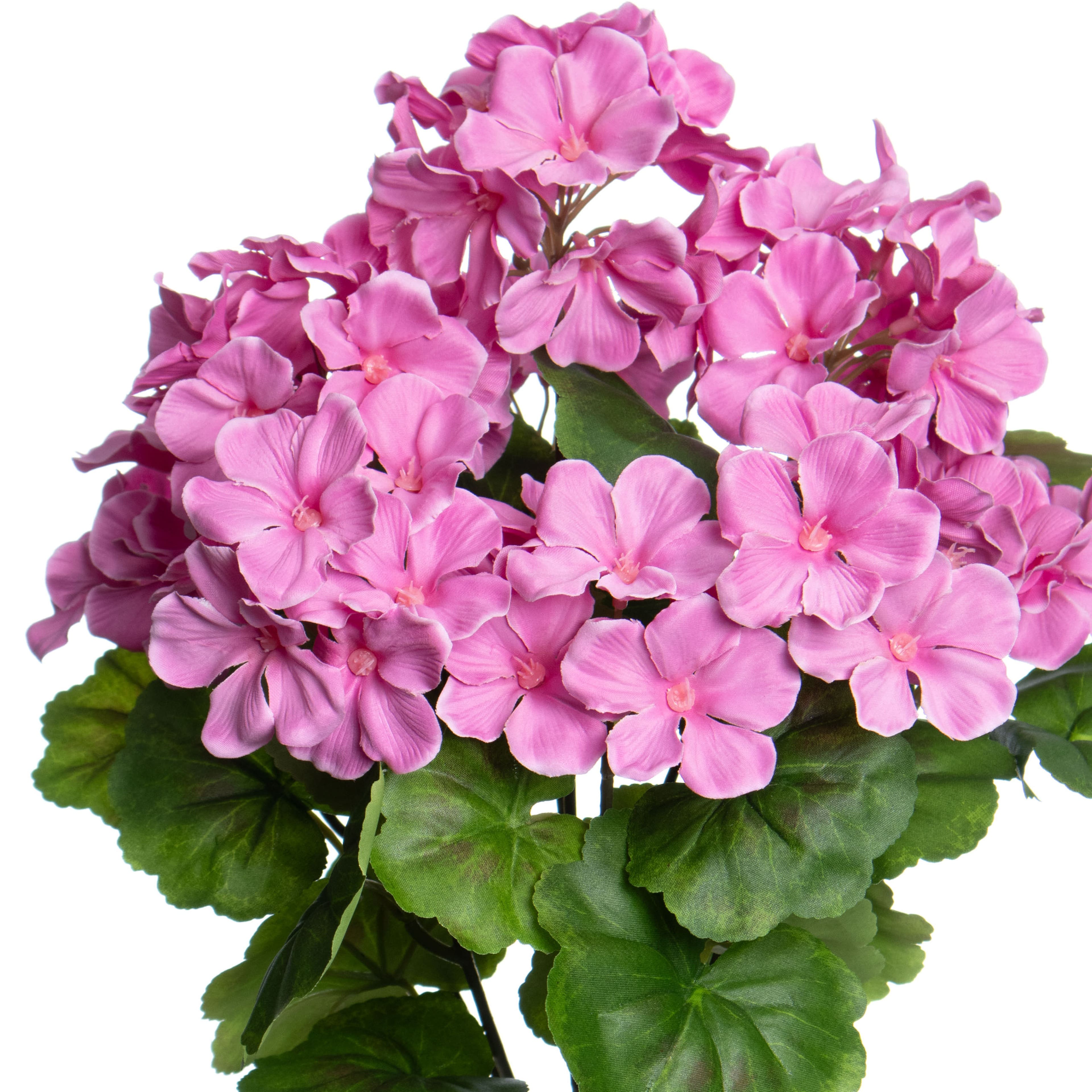 17.5" Geranium Water Resistant Bush by Ashland®