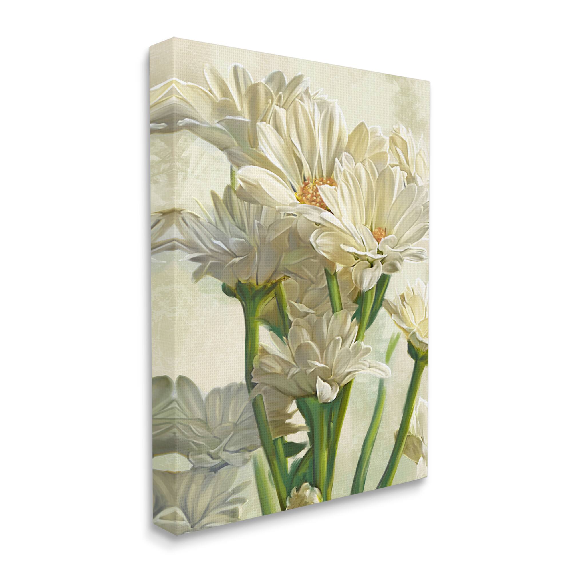 Stupell Industries Study of White Daisy Petals Canvas Wall Art