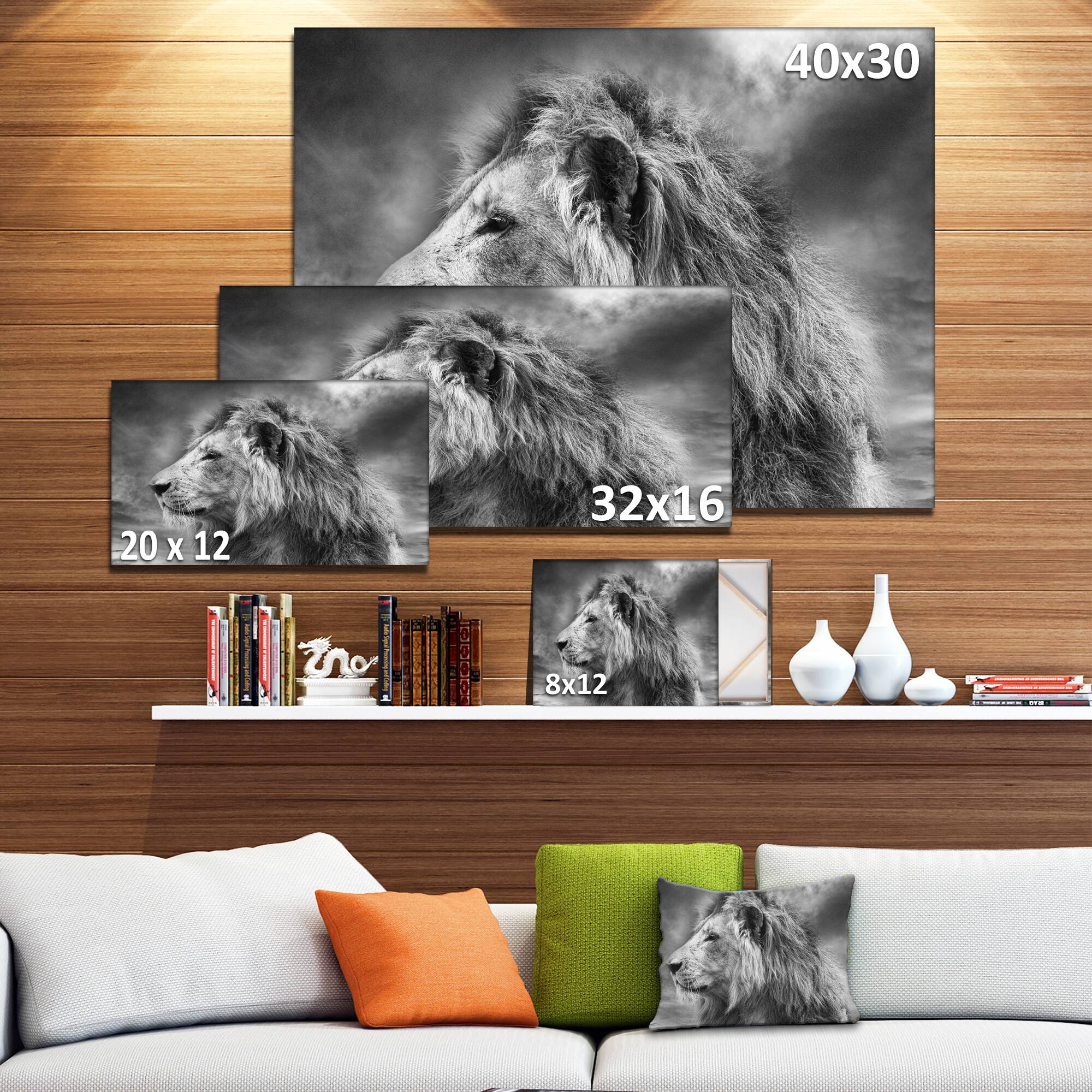 Designart - Grey Wild African Lion - Animal Canvas Art Print