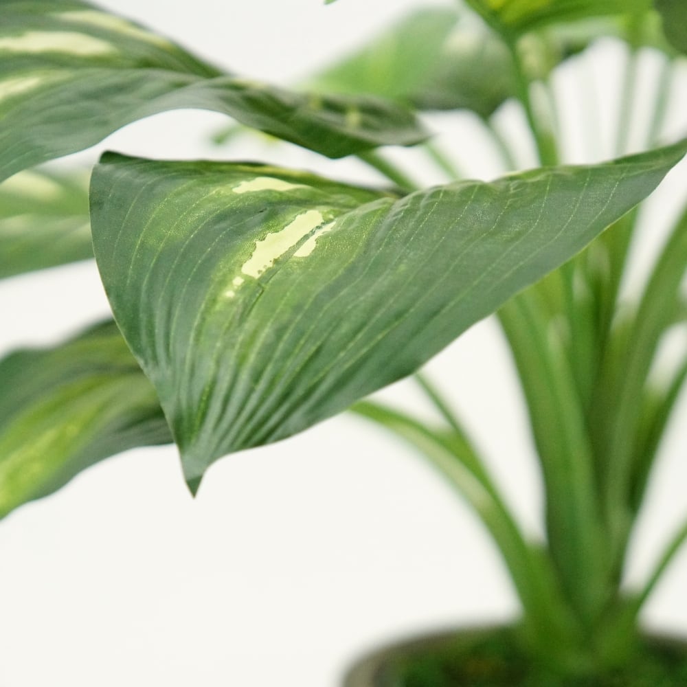 House of Silk Flowers 23" Small Faux Hosta in Classic Cement Gray Planter