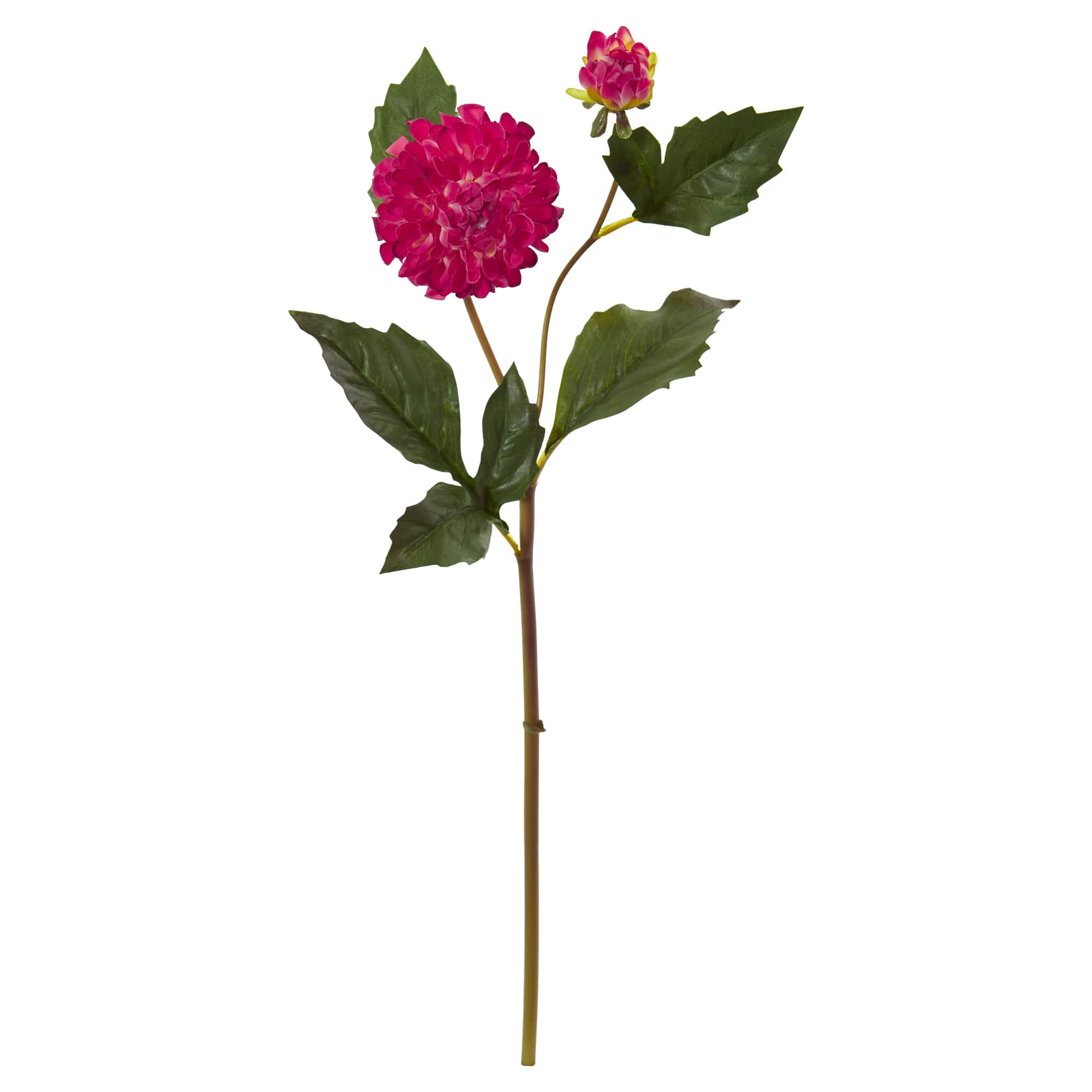 19" Dahlia Stem