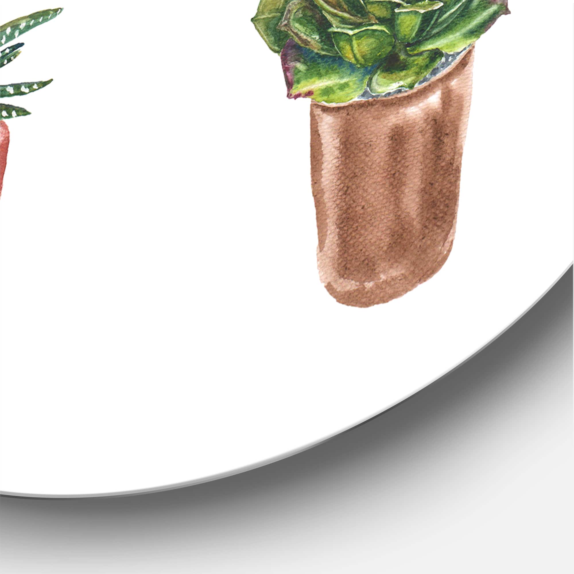 Designart - Flowers In A Pot Cacti and Succulents - Traditional Metal Circle Wall Art