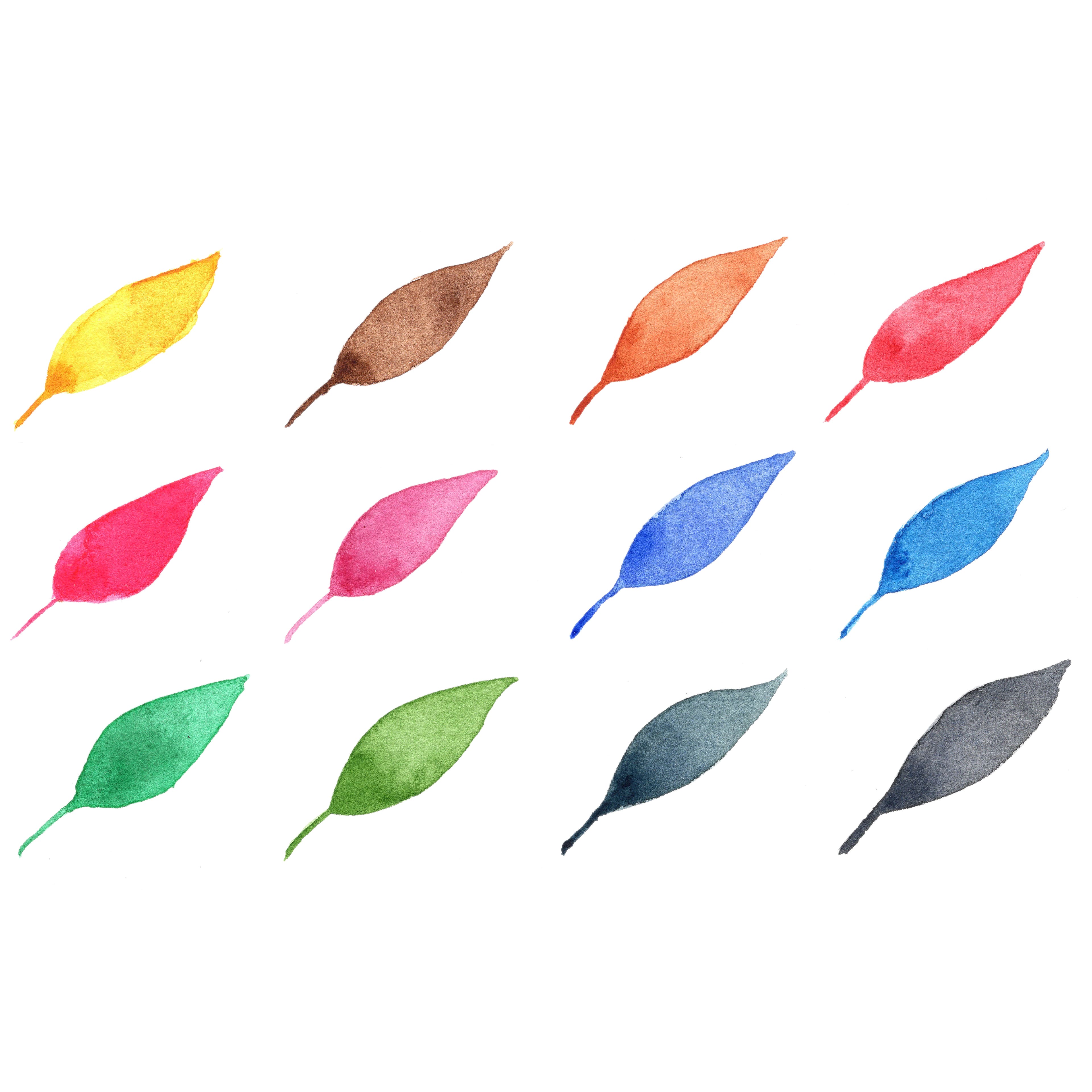 Niji® Artist Watercolours Essential Set