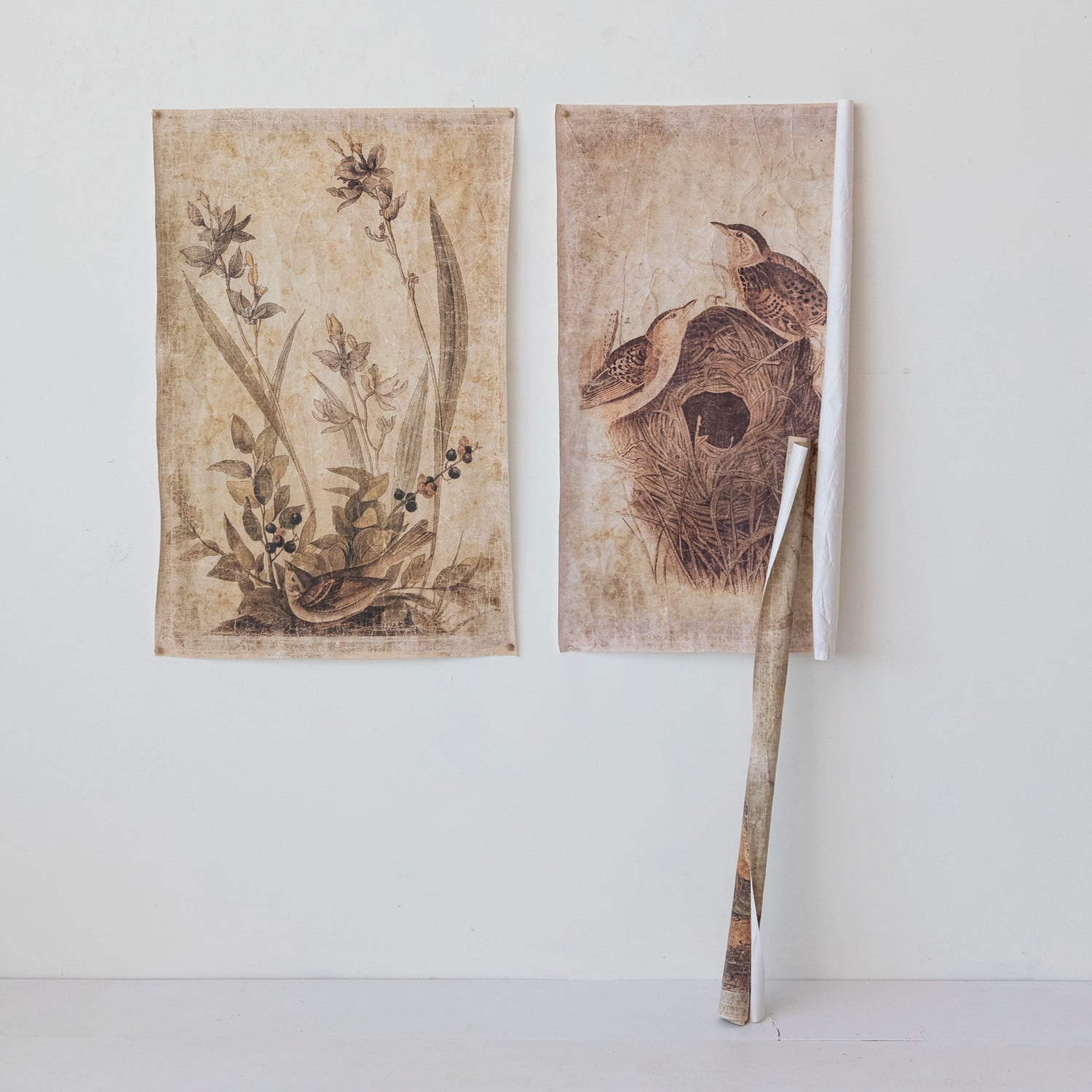 Hello Honey® 36" Brown Decorator Paper Bird Print Set