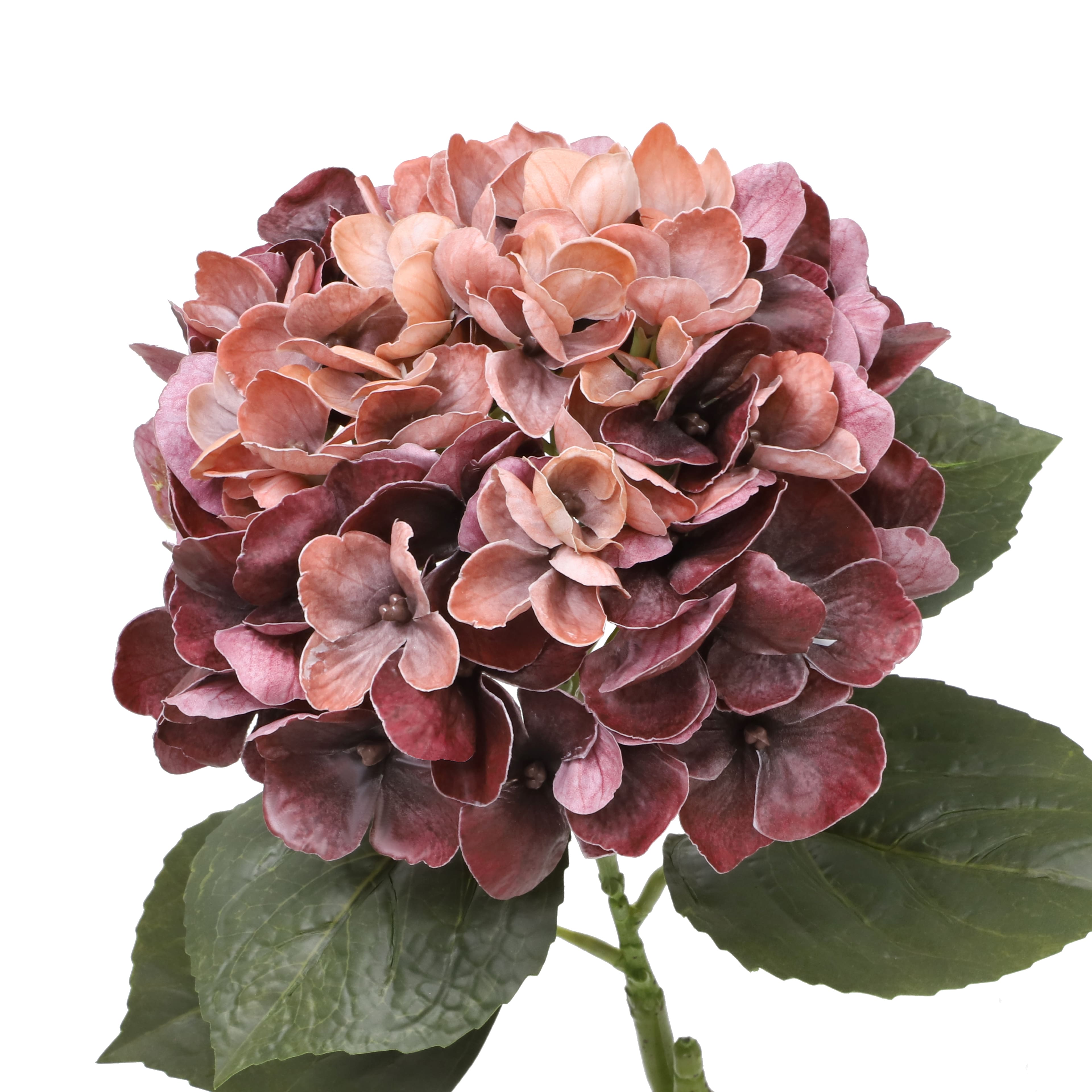 24" Pink & Burgundy Hydrangea Real Touch Stem by Ashland®