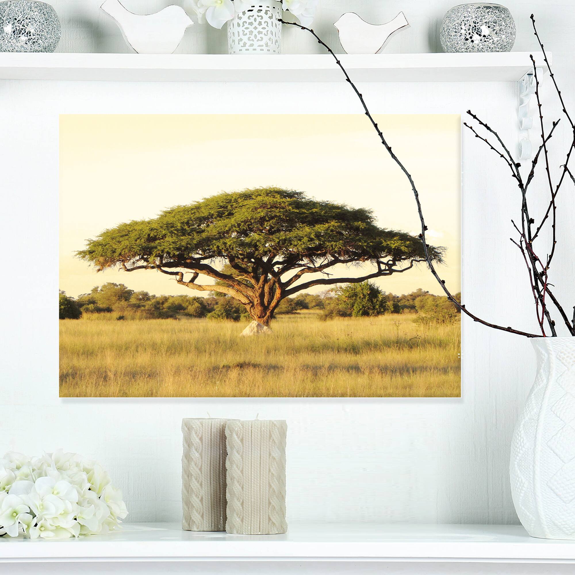 Designart - Acacia Tree on African Plain