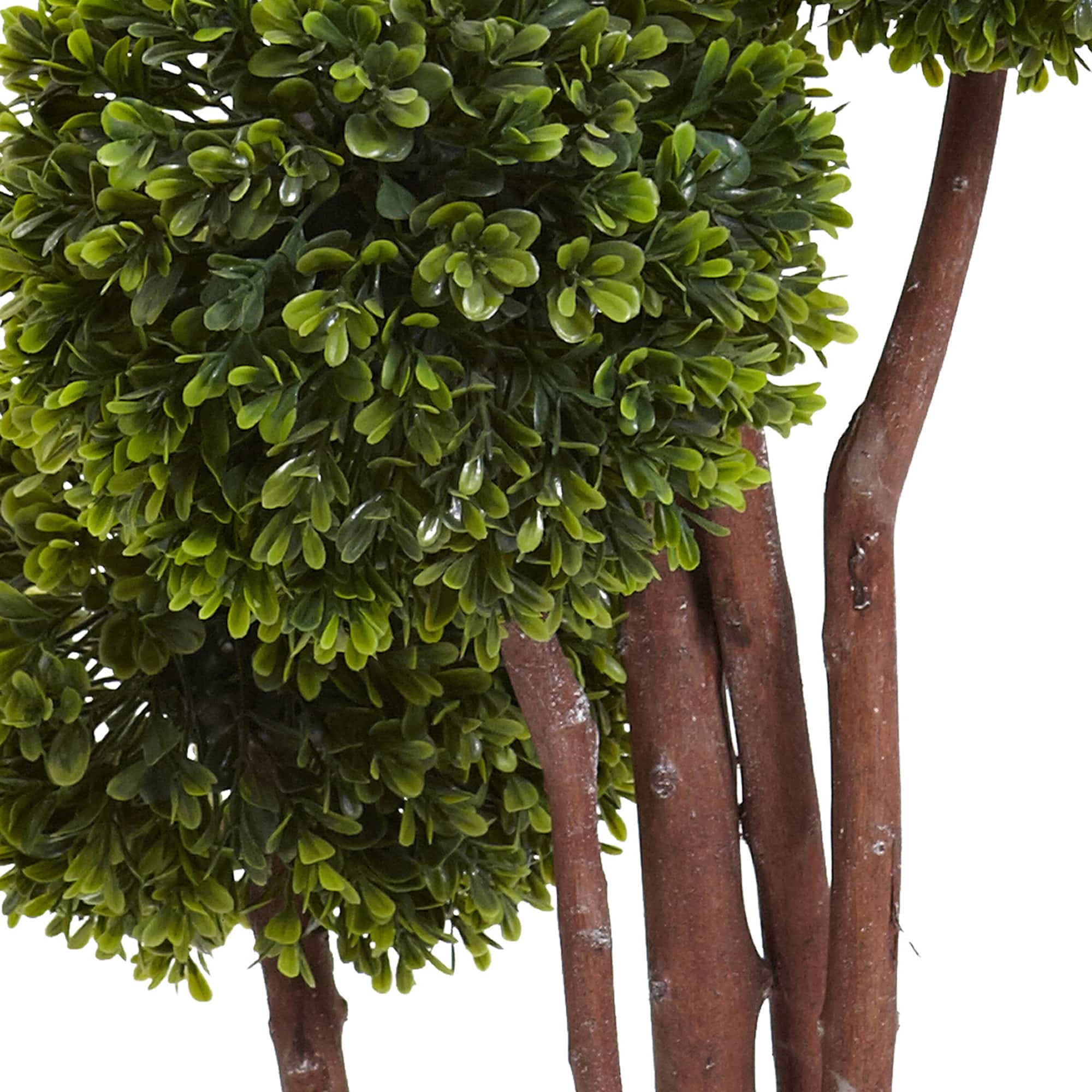 4ft. Potted Boxwood Topiary Tree